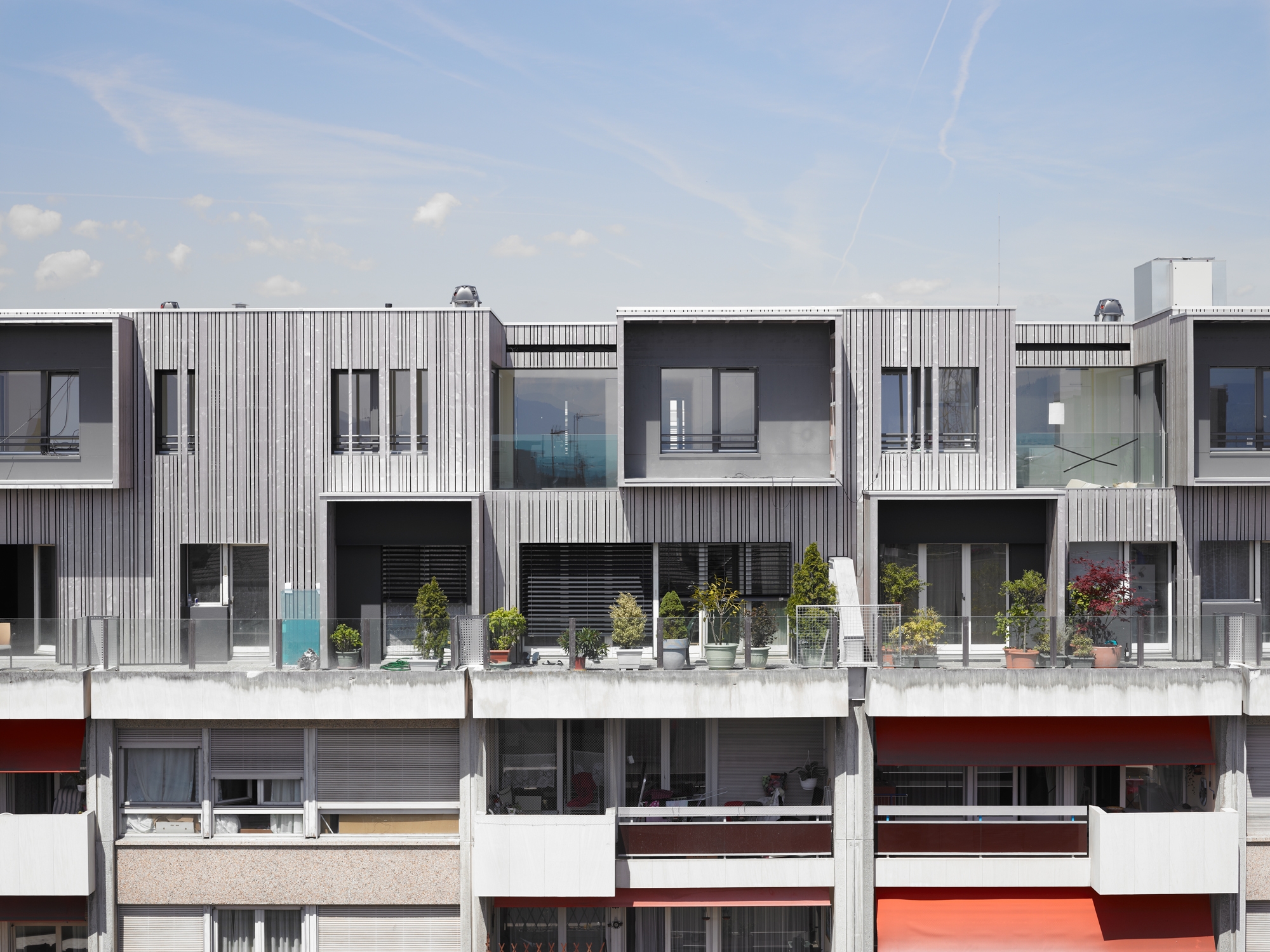Lees oor projek Wood in the sky