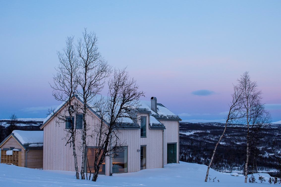 Lire à propos du projet Vityxne