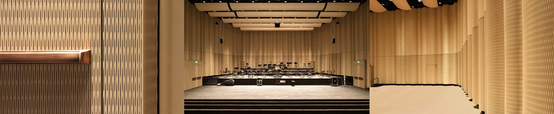 Read about project Concert hall Toni Areal