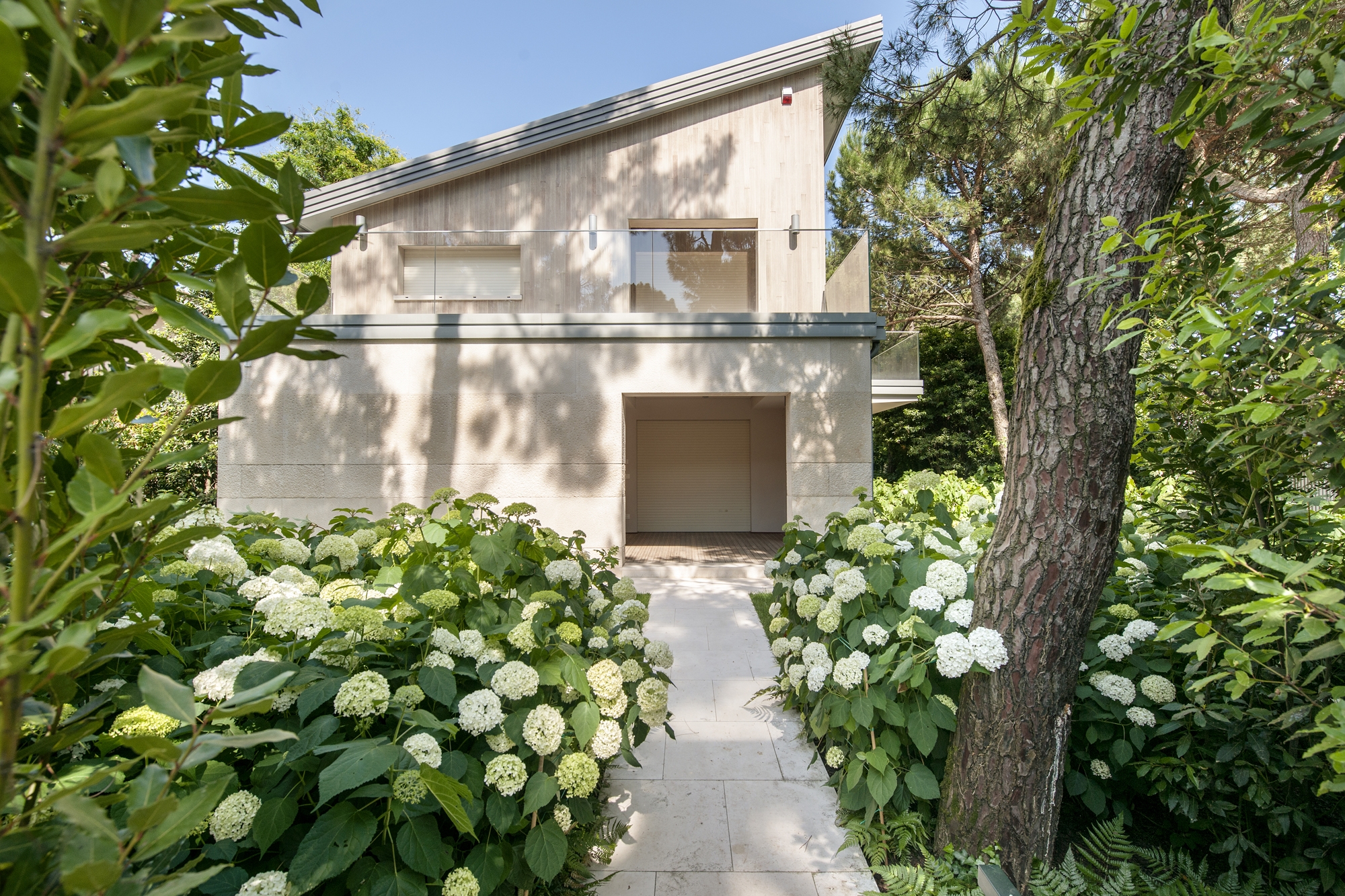 Leer sobre el proyecto Garden in pinewood