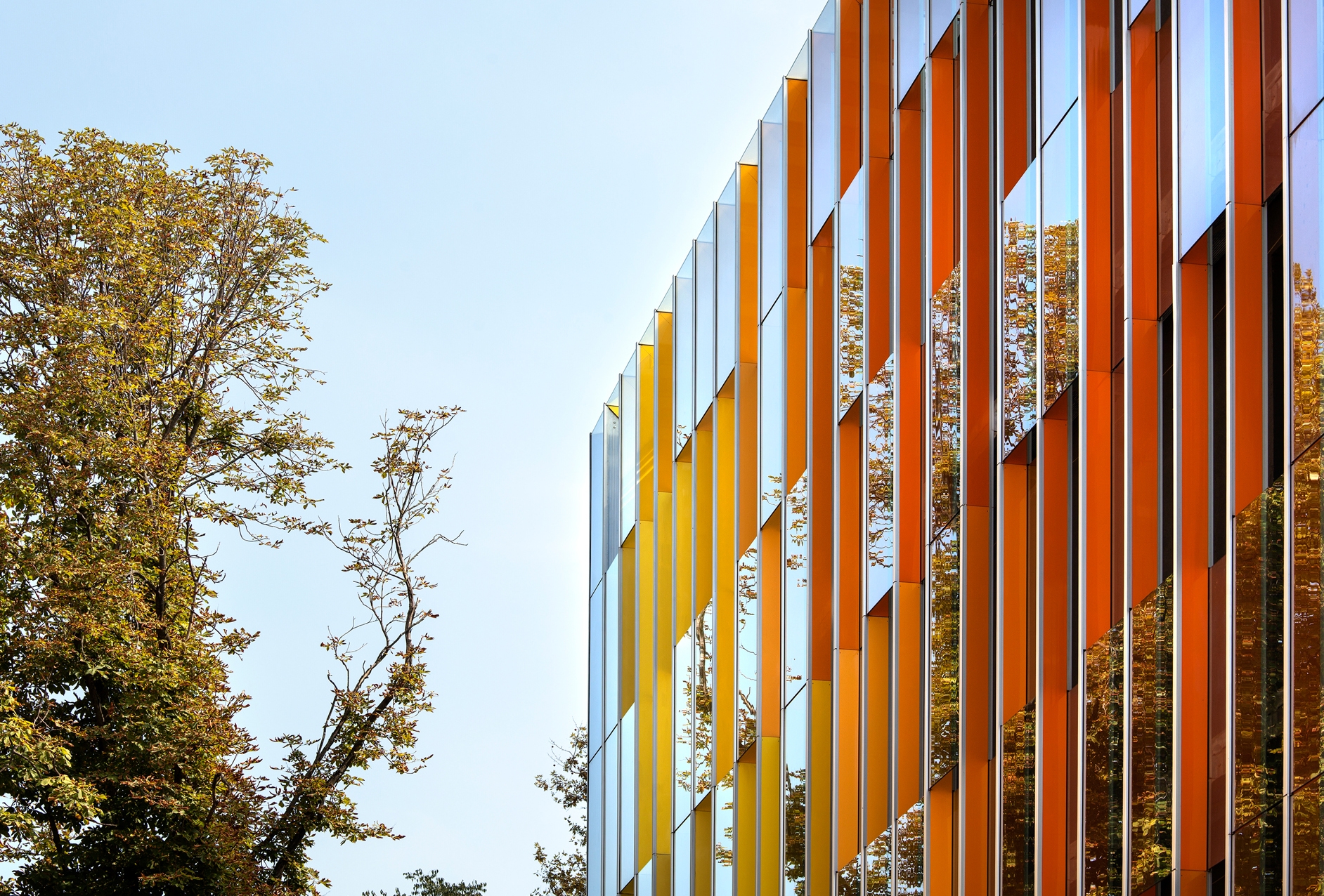 Erfahre mehr über das Projekt Children's Hospital