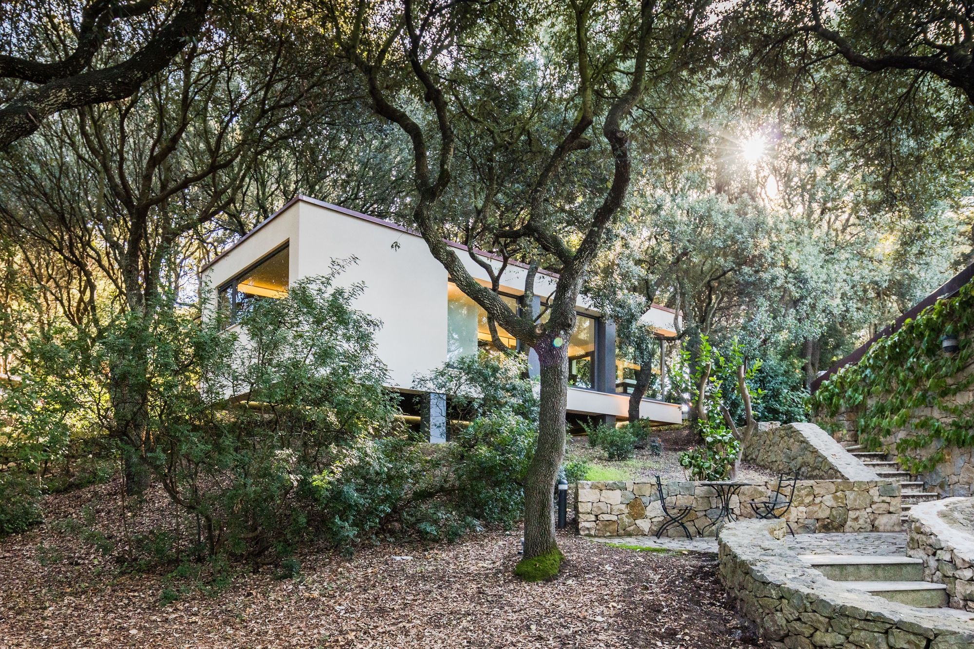 Leggi sul progetto House in the Woods