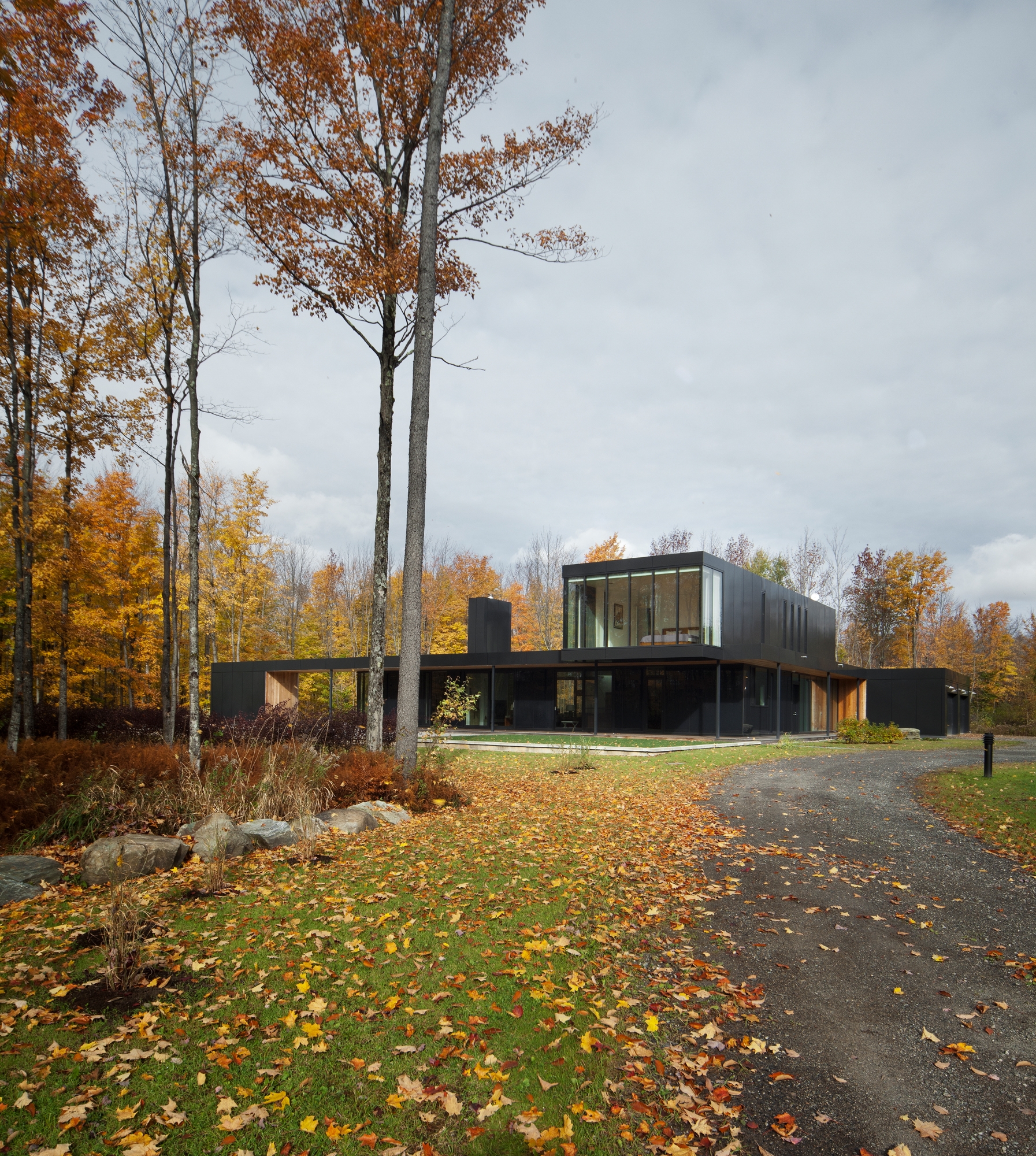Leer sobre el proyecto Rosenberry Residence