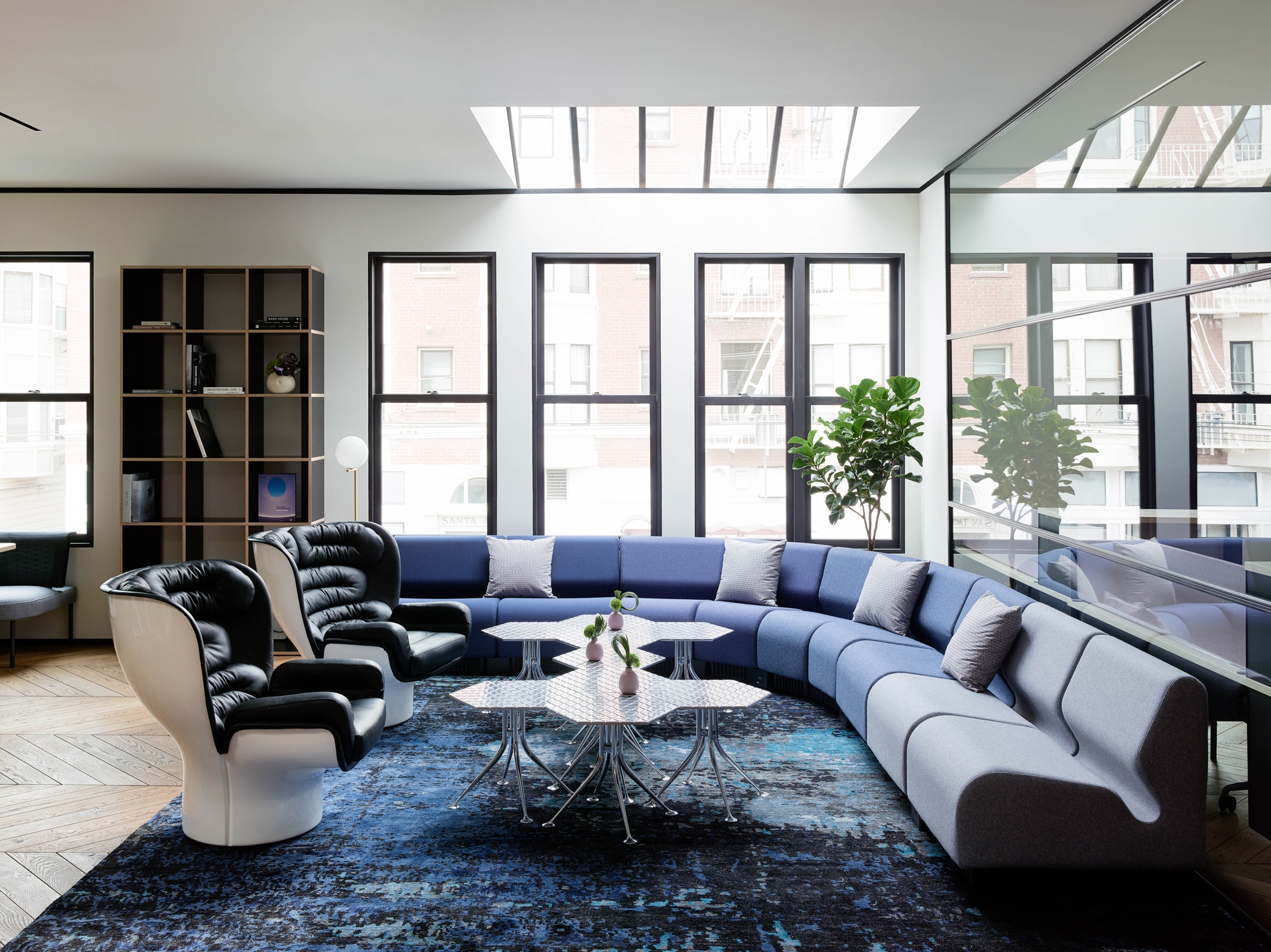 Leggi sul progetto CANOPY Pacific Heights