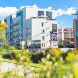 Read about project Secret Garden - Combilift 542