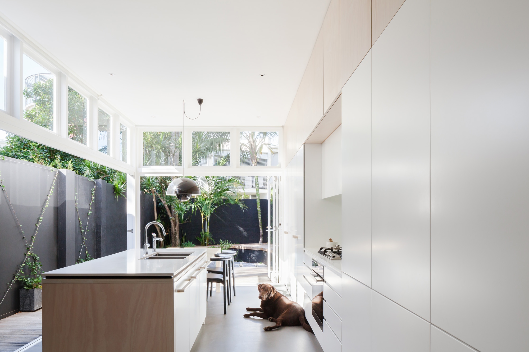 Read about project House Paddington
