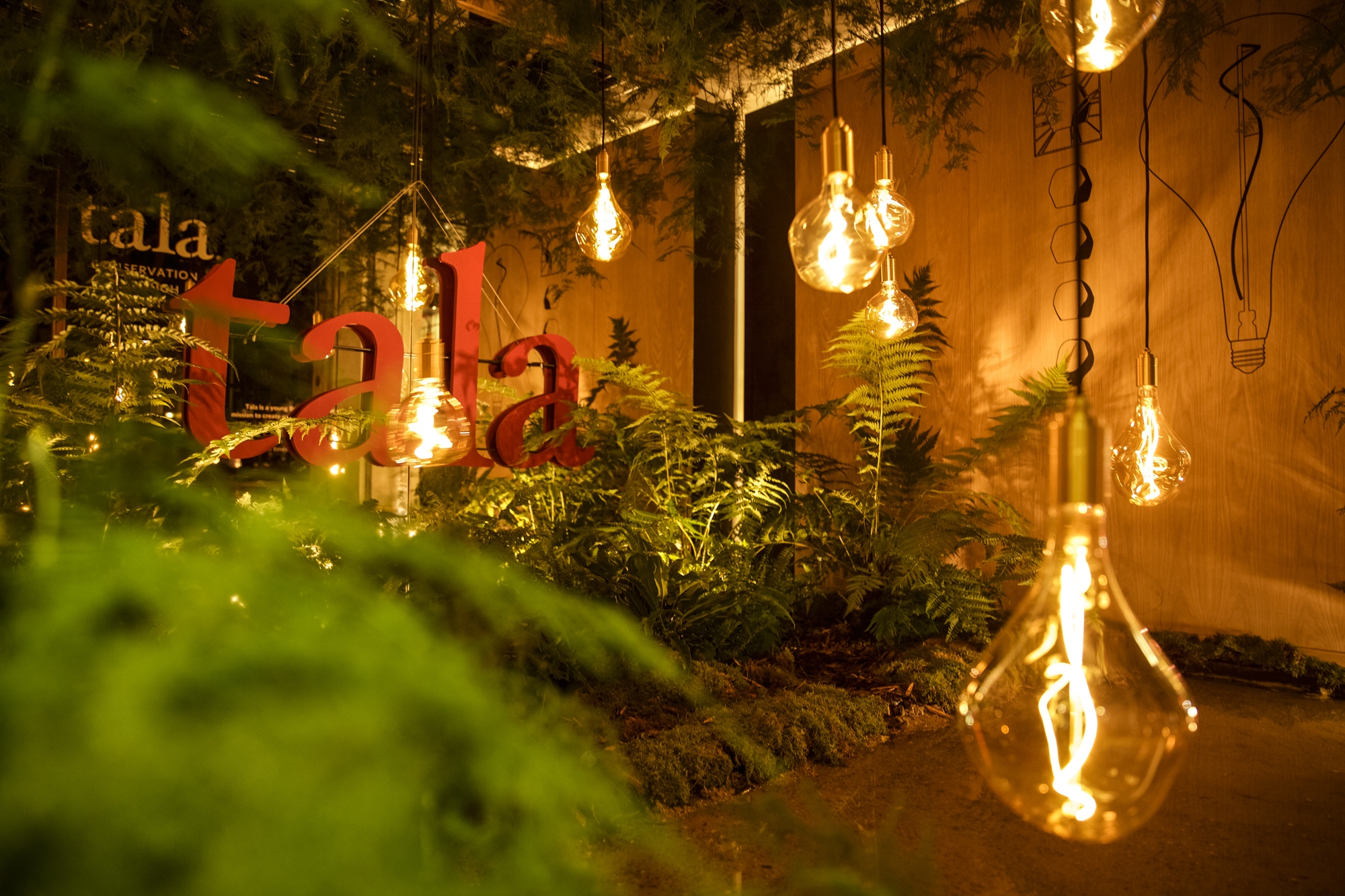 Read about project Heals