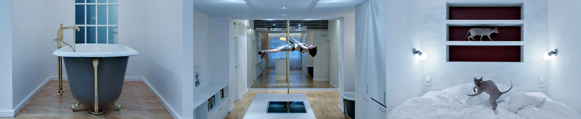 Project Header Image