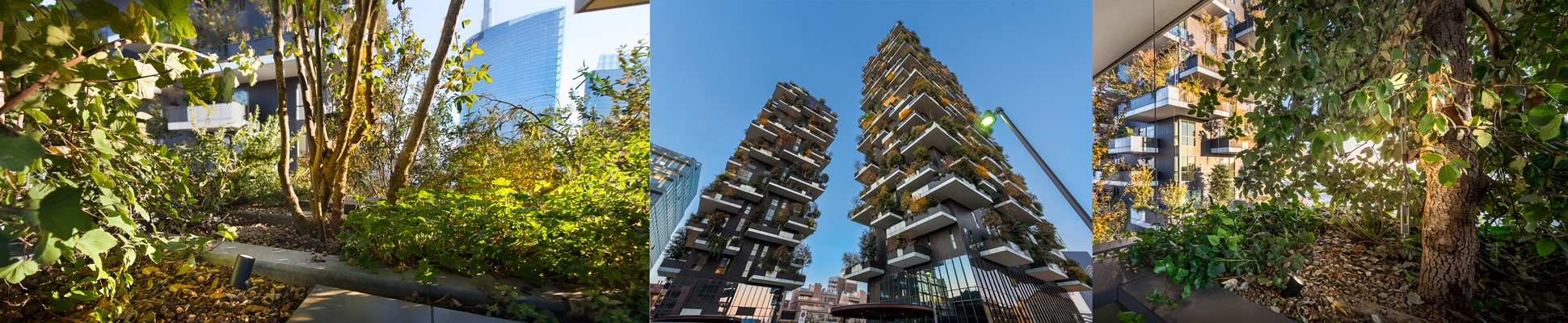 Read about project BOSCO VERTICALE