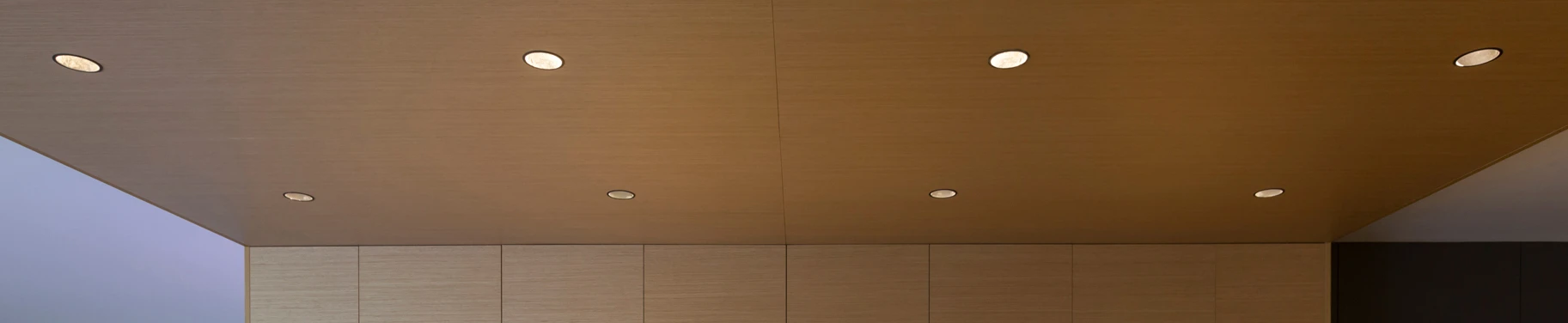 Project Header Image