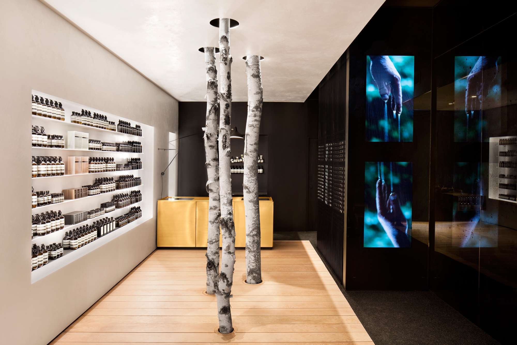 Read about project Aesop Westmount