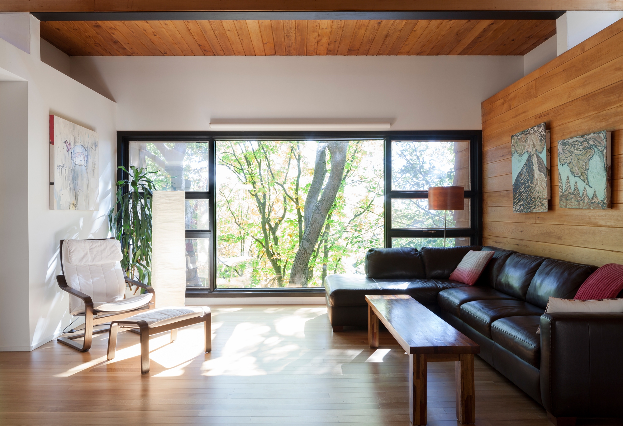 Lire à propos du projet Esperanto