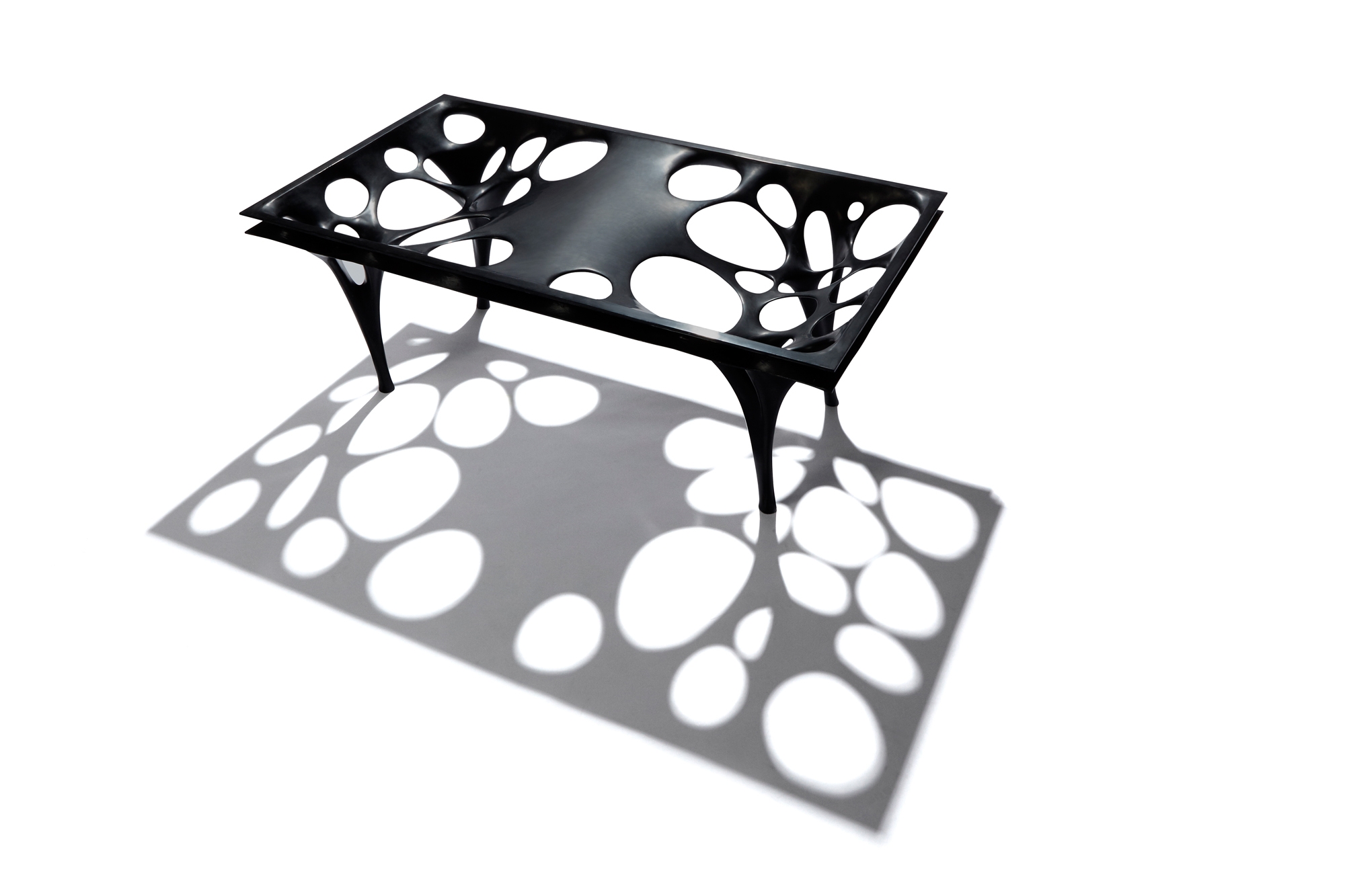 Read about project Fabric Table R (Fabric Table Radiolaria)