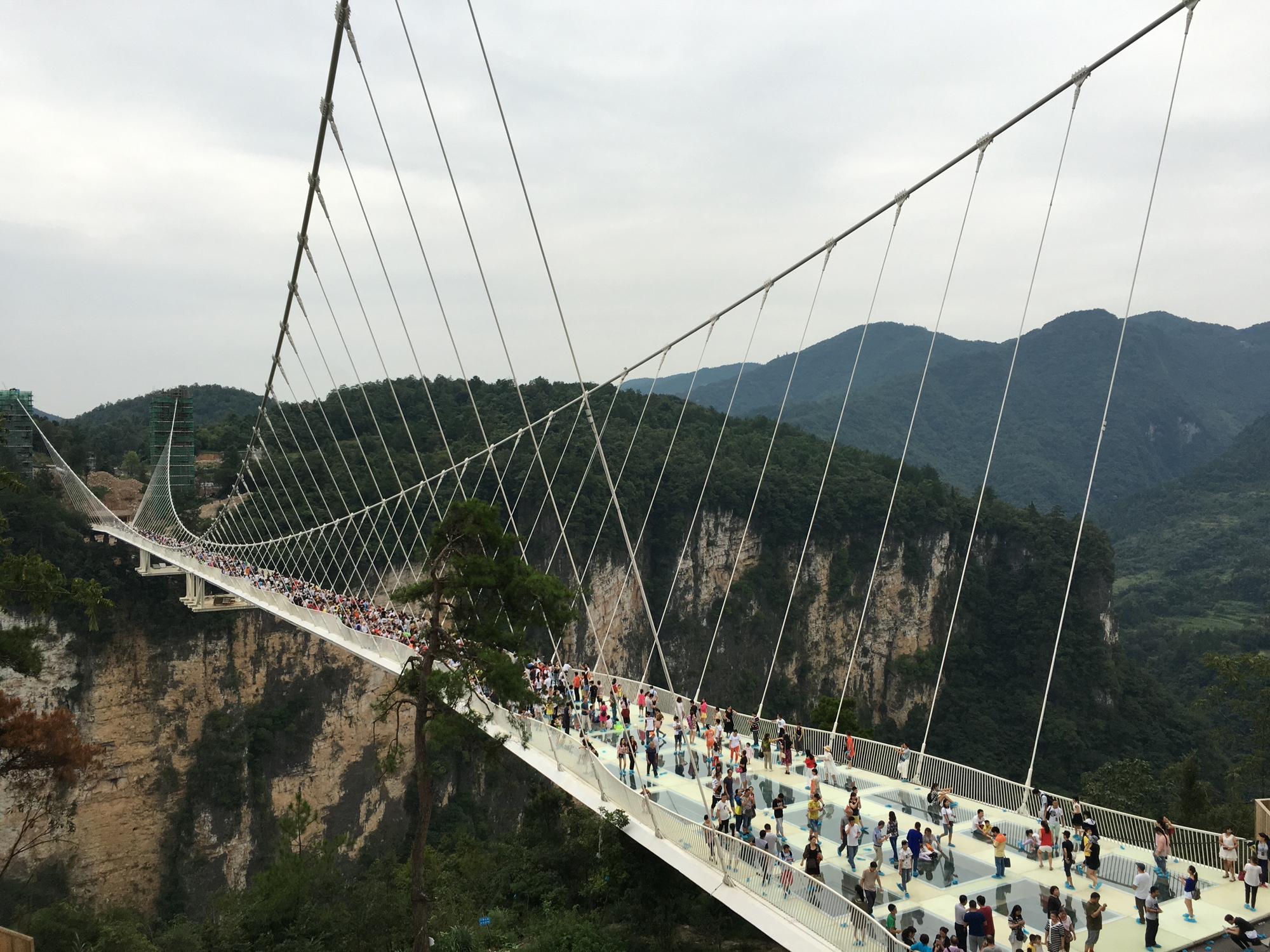 Erfahre mehr über das Projekt Zhangjiajie Grand Canyon Glass Bridge
