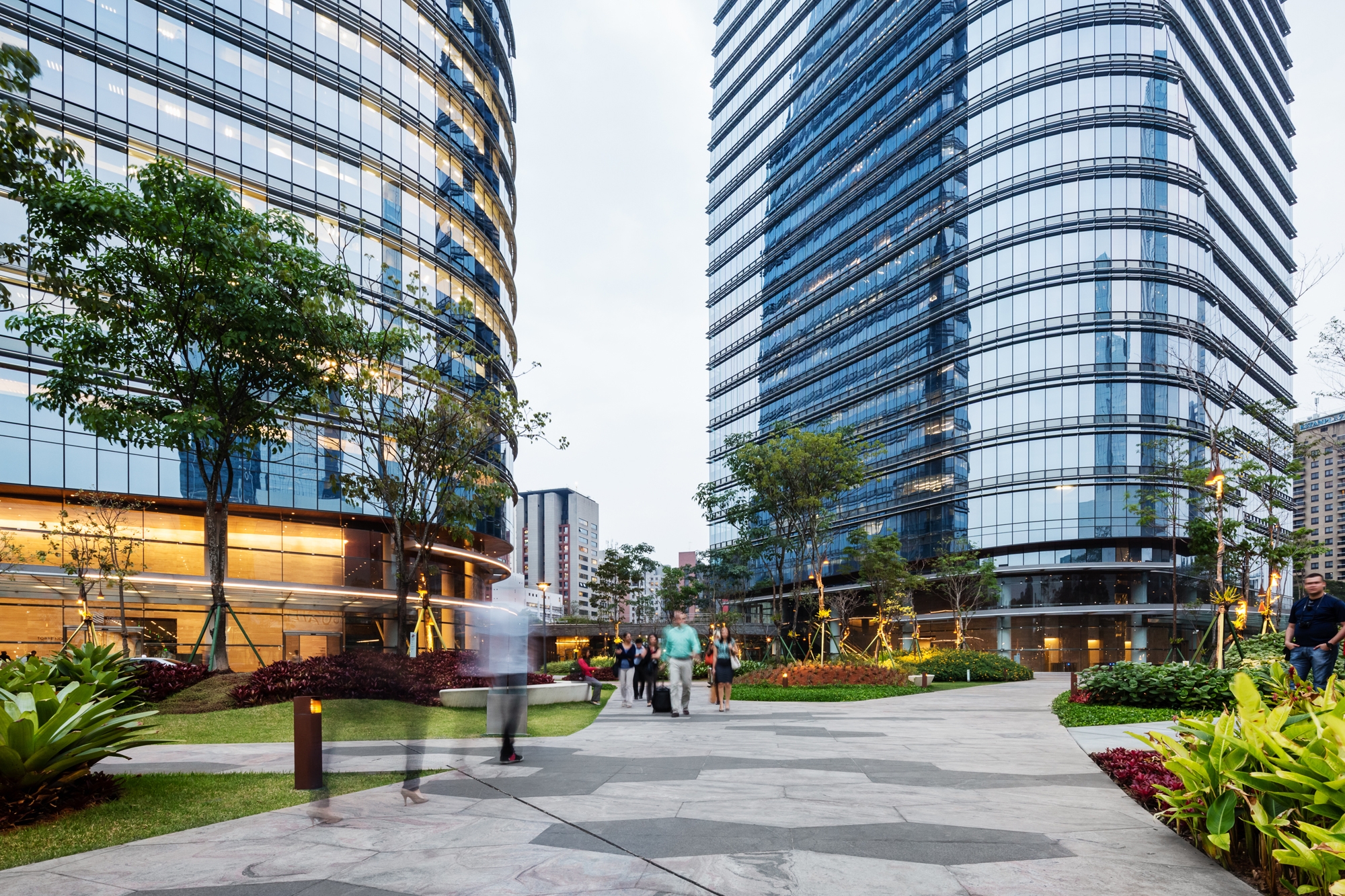 Read about project A Mata Atlântica Forest in São Paulo