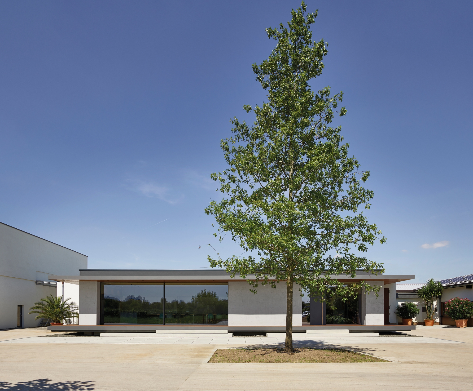 Leggi sul progetto Hensel Winery