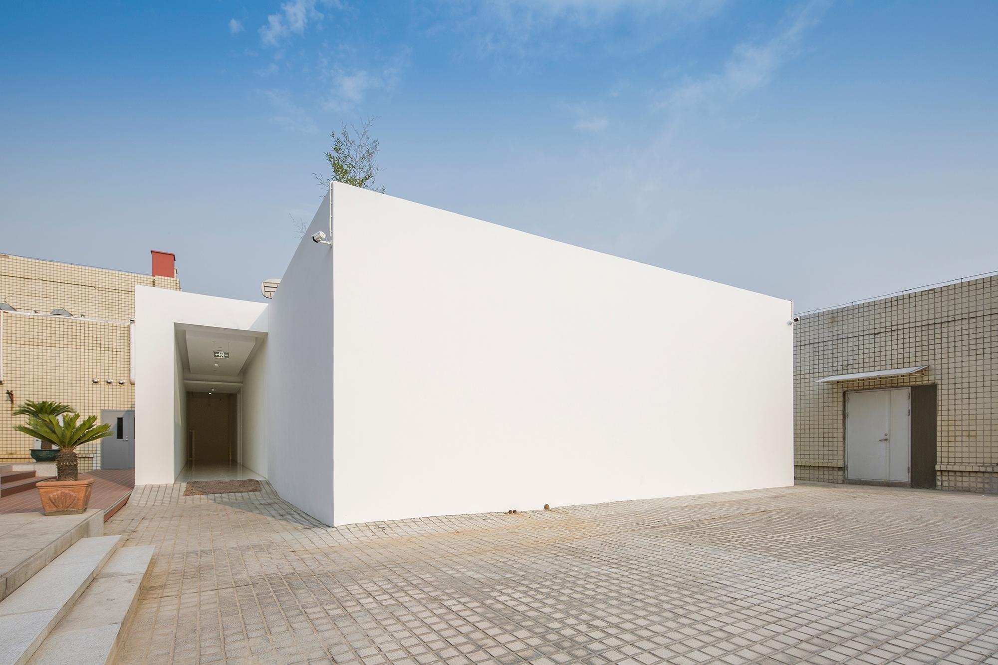 Erfahre mehr über das Projekt Bamboo Forest on the Roof