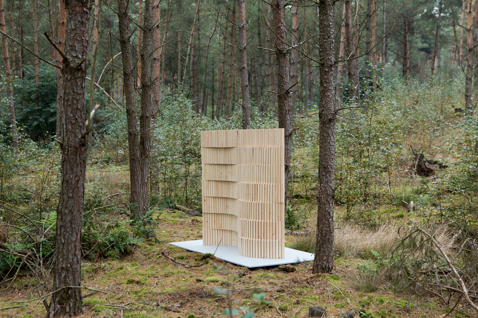 Read about project Woodwall Room Divider