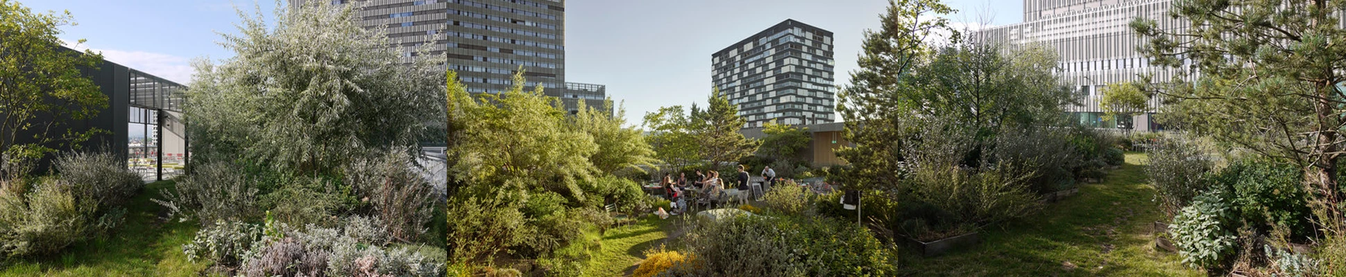 Project Header Image