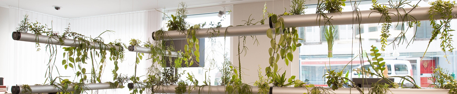 Read about project Reconstruction office spaces