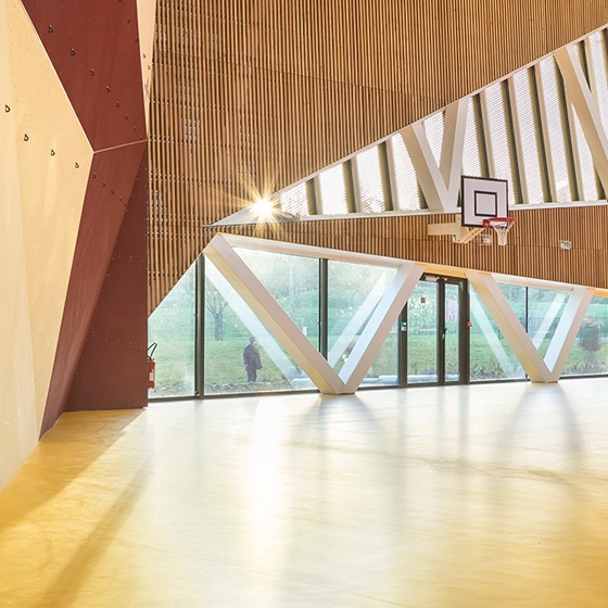 Lire l’histoire Fun and games: new sports centres
