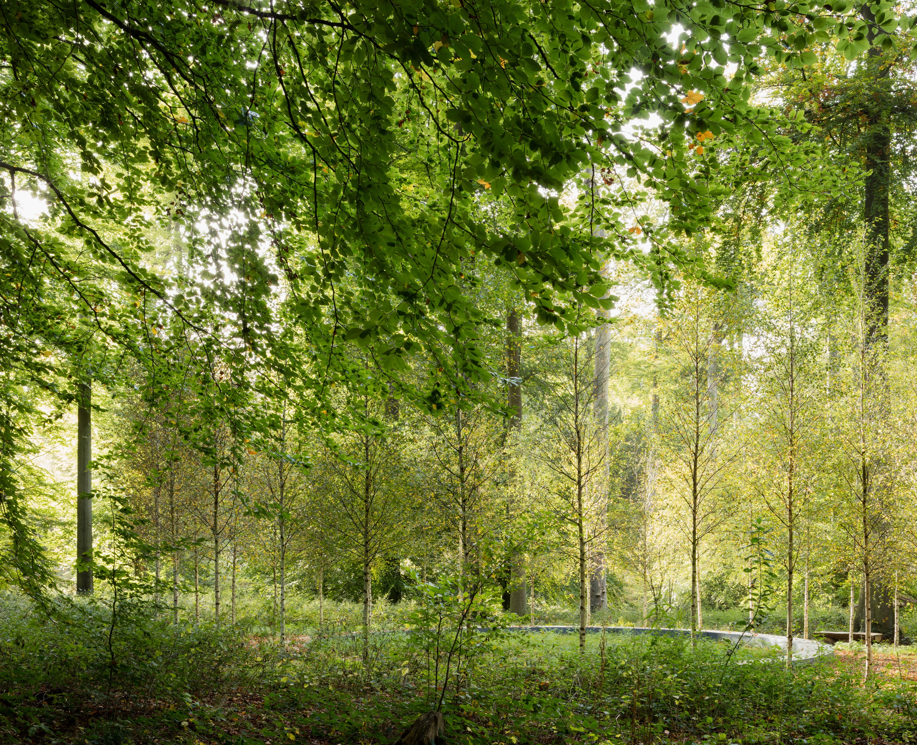 Pearling Pathway, Bahrain (1) Photo: © Bureau Bas Smets; Memorial 22/03, Brussels (2, 3) Photo: © Michiel De Cleene