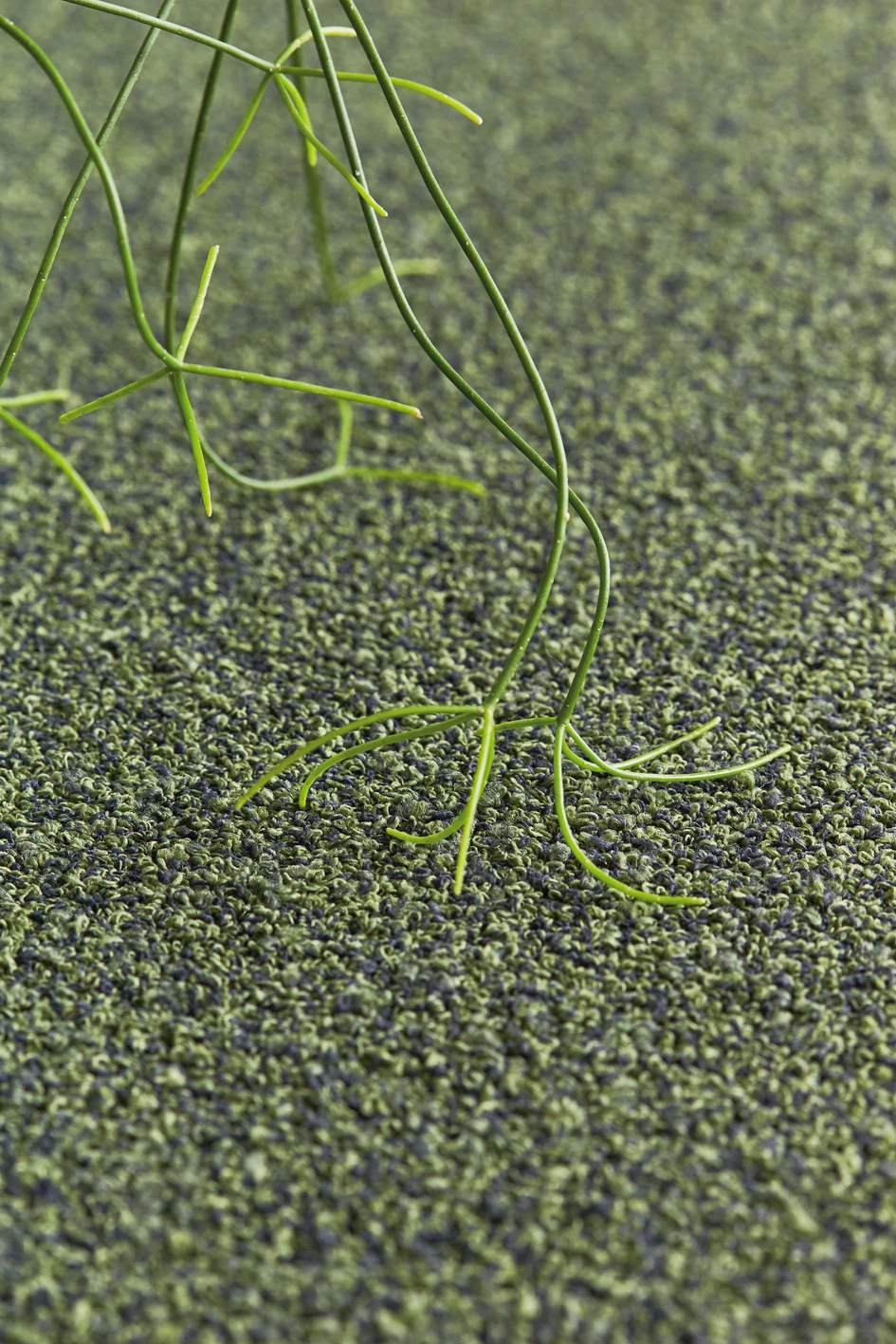 Caught in a net of passion. Together with the Healthy Seas initiative and Aquafil, which produces the high-tech fibre ECONYL, OBJECT CARPET is making a valuable contribution to the health of our oceans