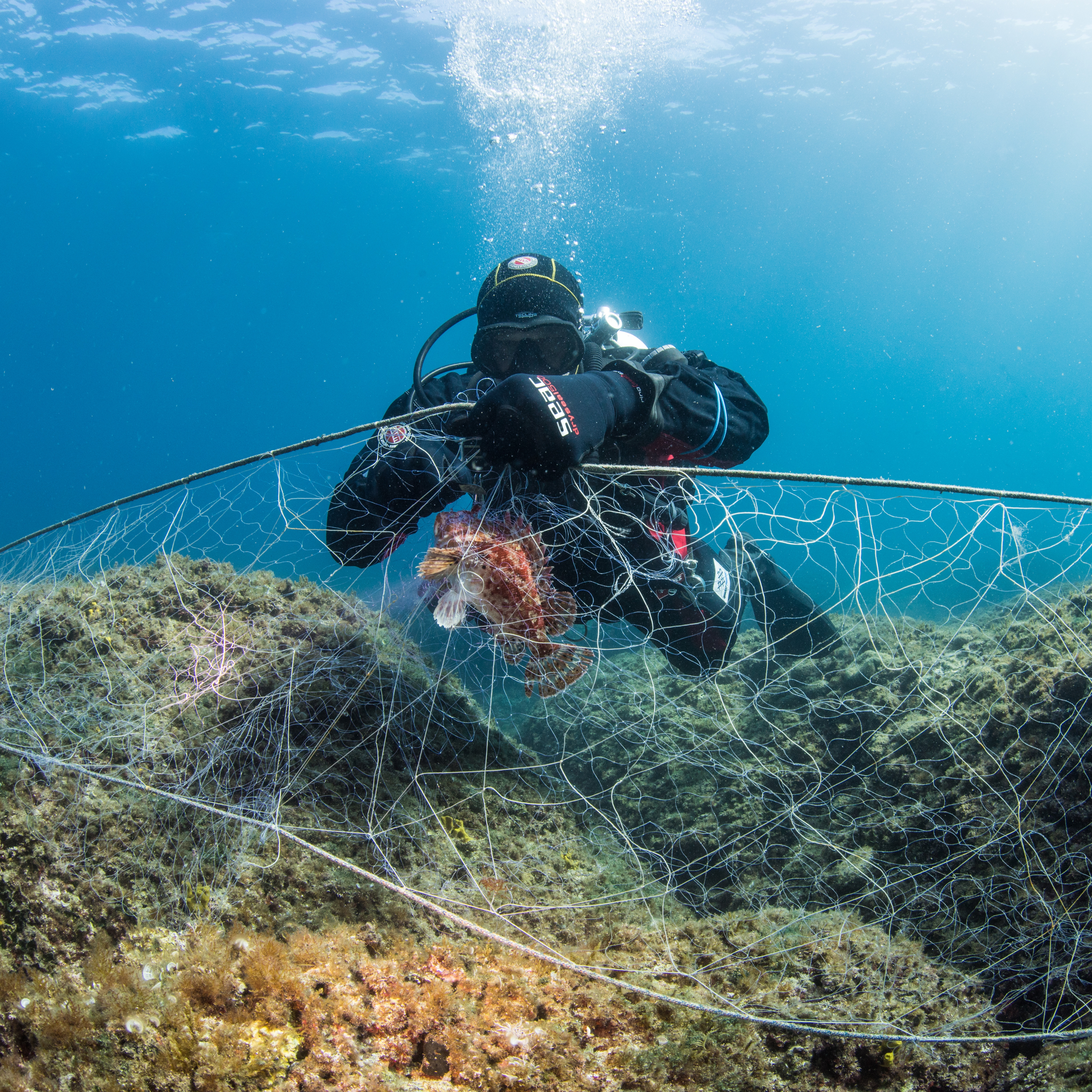 Lees storie Going in circles: OBJECT CARPET