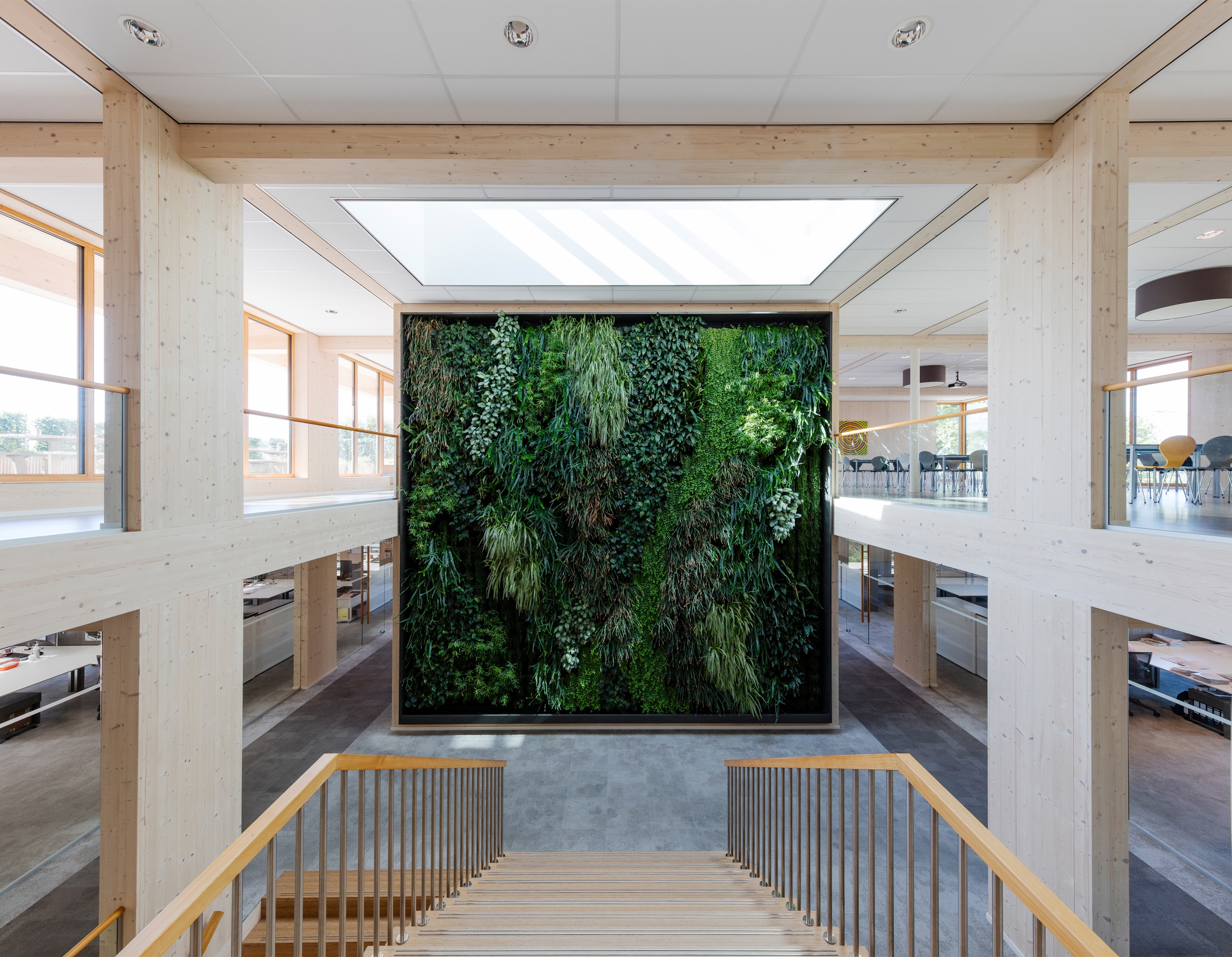 Natürliches Licht, natürliche Materialien und natürliches Grün sind Hauptbestandteile der nachhaltigen Büroumgebung von Geelen Counterflow, Haelen (Niederlande) 