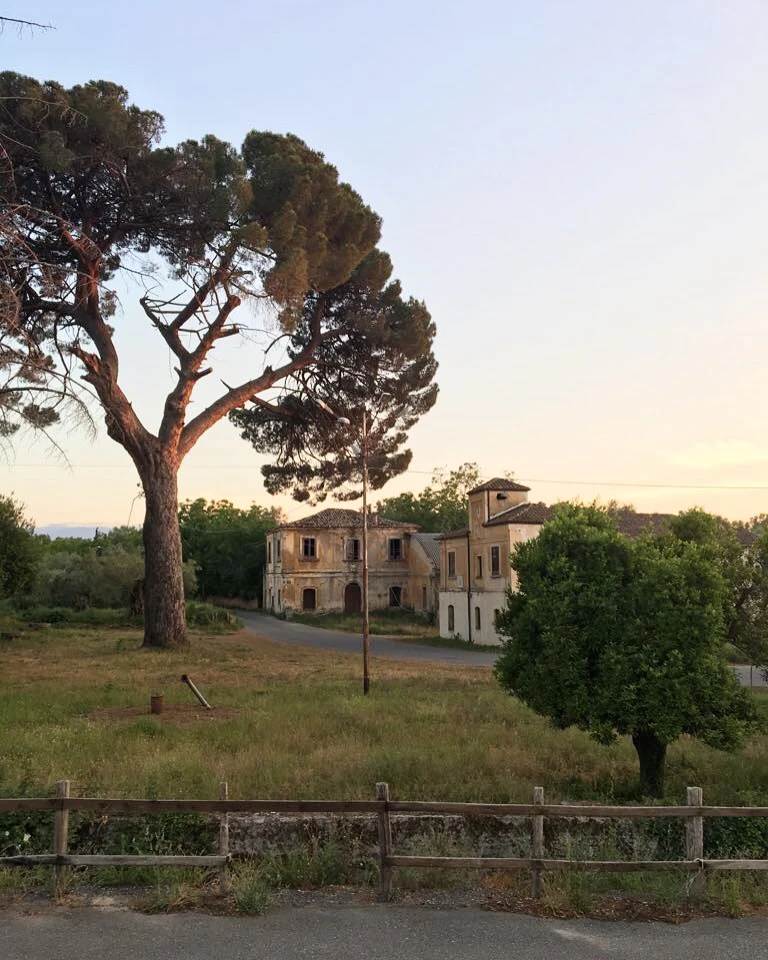 Sunrise in beautiful Calabria. Home of the majestic Olive tree