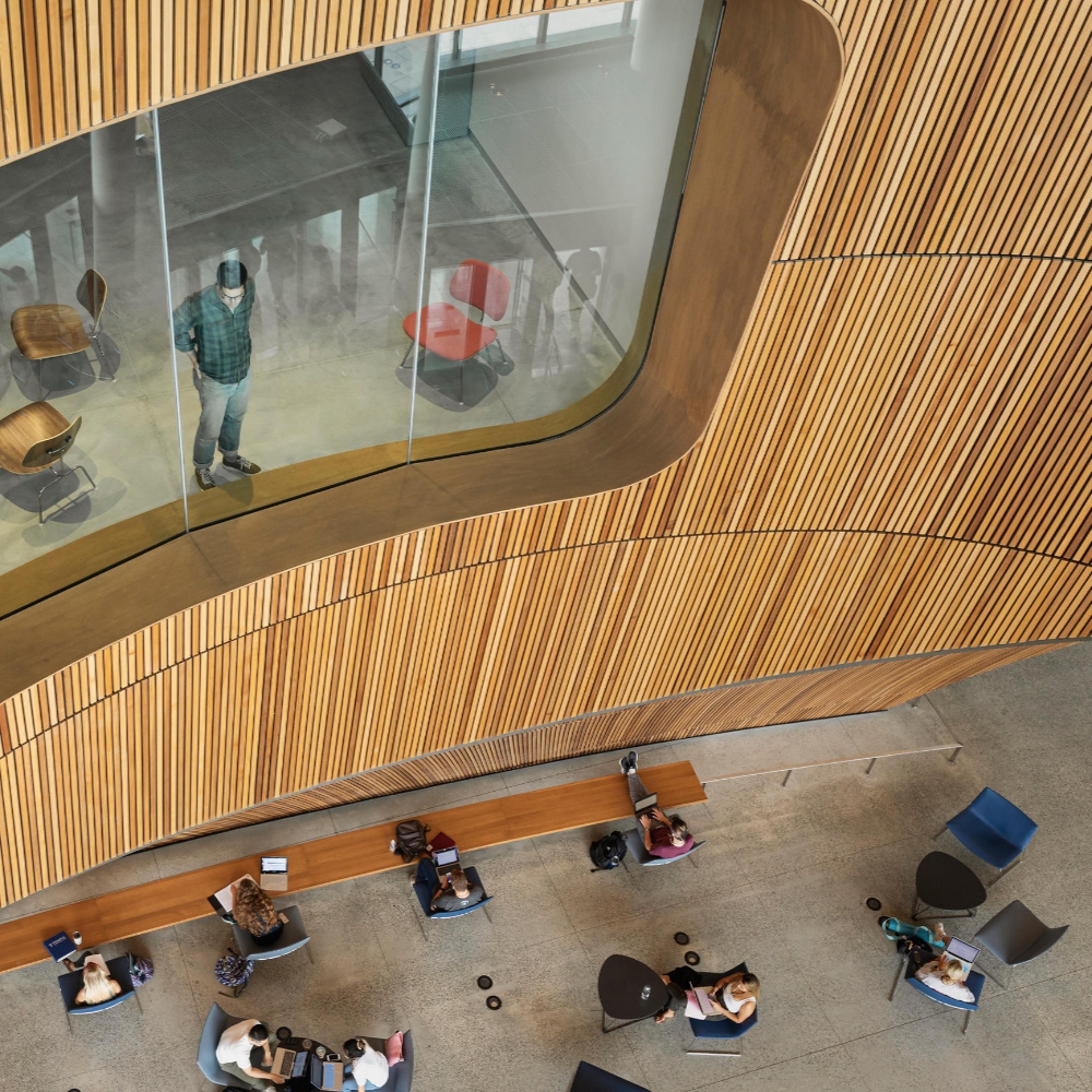 Leer la historia Know this: new university design