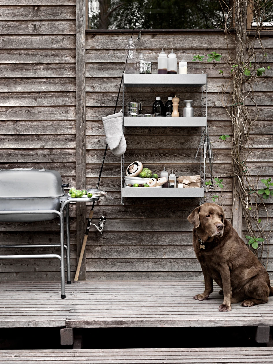 String Furniture co-founder Peter Erlandsson's labrador Enzo lends his master's newly installed outdoor shelving his approval