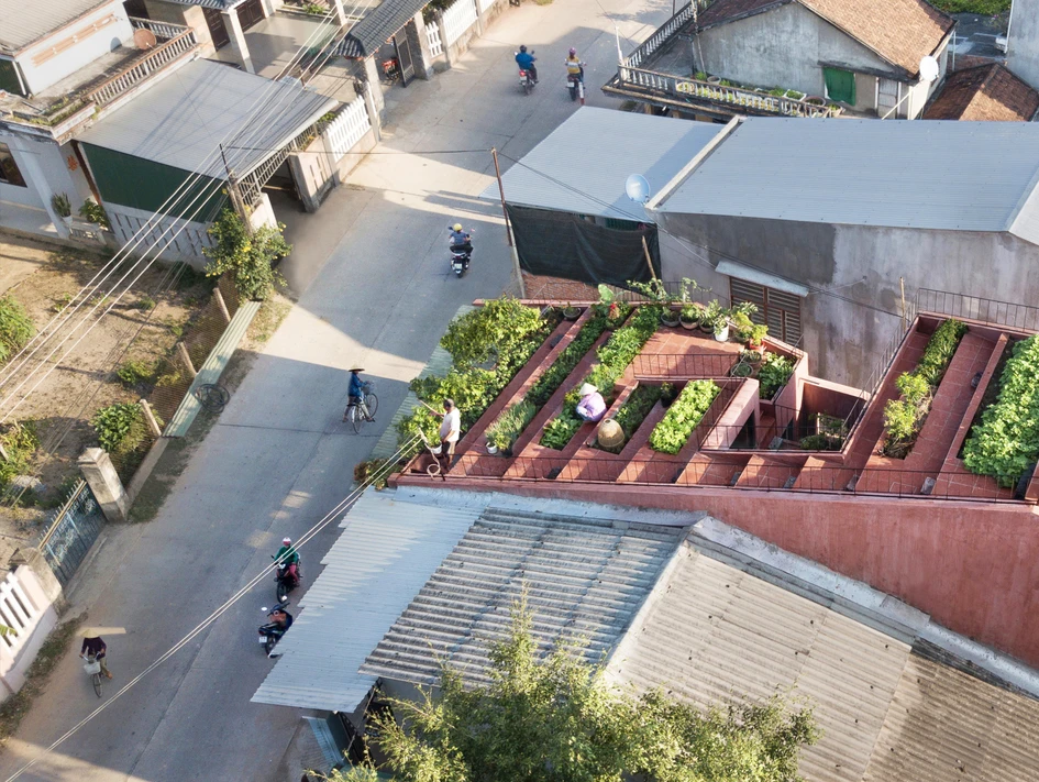 Der Dachgarten des The Red Roof Hauses ermöglicht seinen Bewohnern einen traditionellen ländlichen Lebensstil im dicht besiedelten Gebiet einer Stadt. Fotos: TAA Design