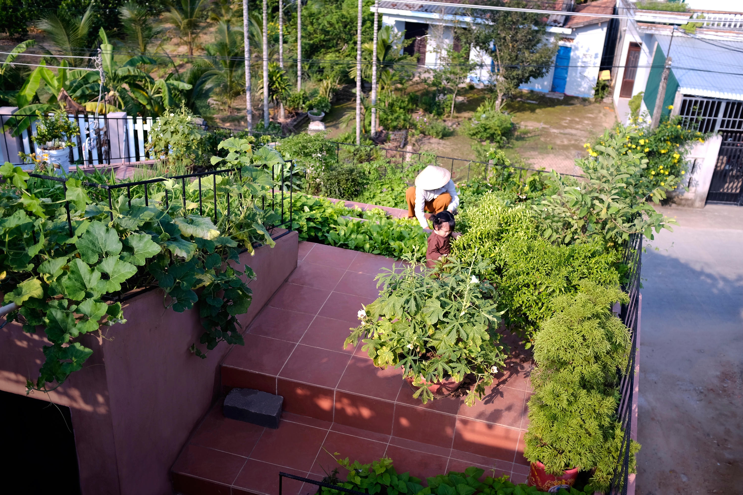 Things are looking up: roof gardens | Architonic