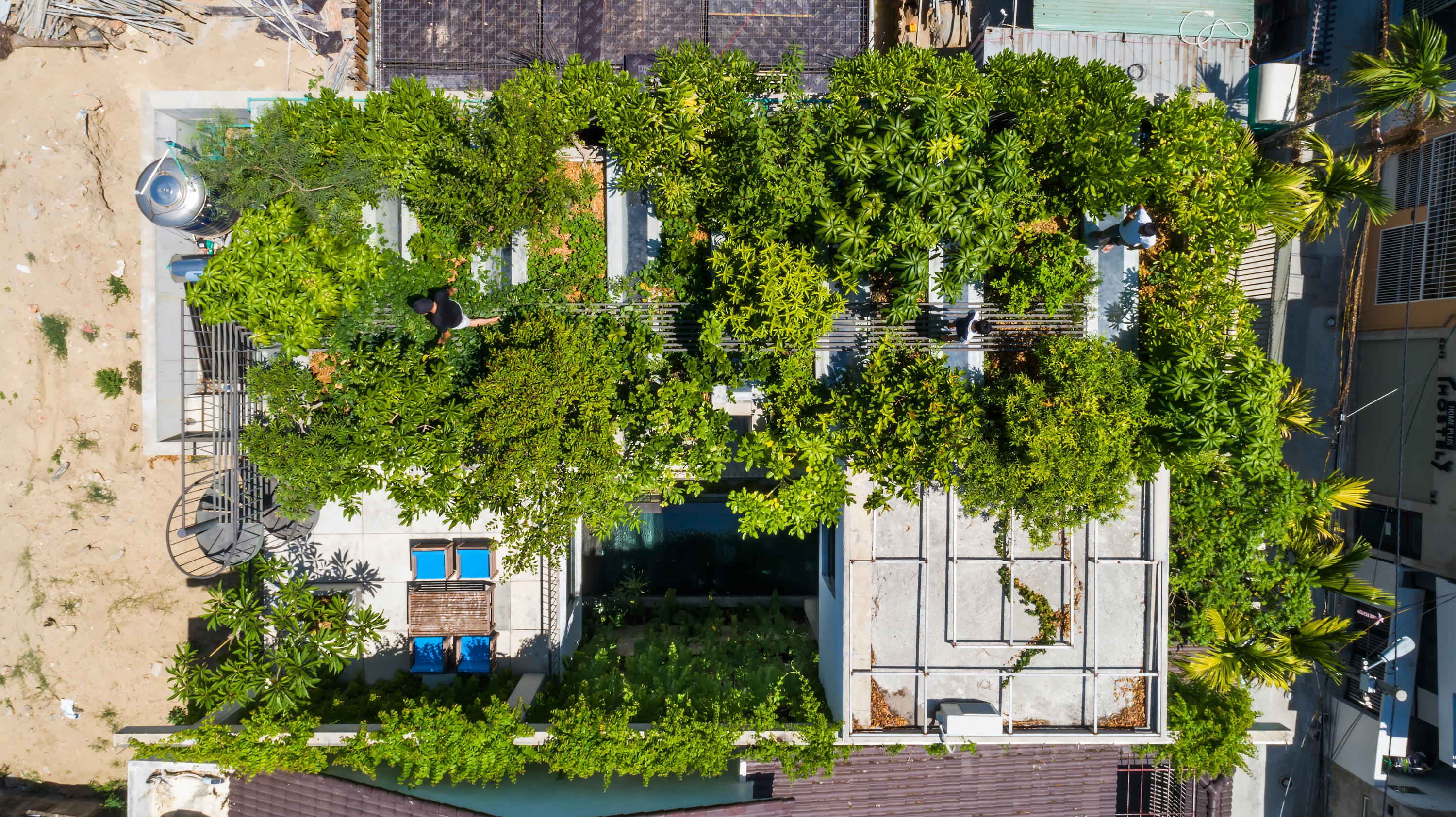 Die Erhöhung der Anzahl grosser Dachgärten, wie die des Thang House von Vo Trong Nghia, kann in städtischen Umgebungen dazu beitragen, die Luftqualität zu verbessern. Fotos: Hiroyuki Oki