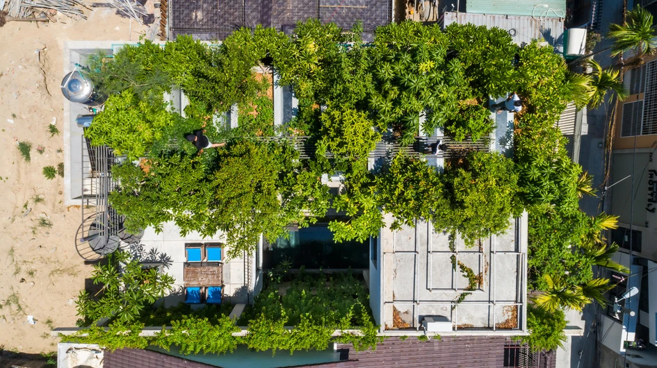 Die Erhöhung der Anzahl grosser Dachgärten, wie die des Thang House von Vo Trong Nghia, kann in städtischen Umgebungen dazu beitragen, die Luftqualität zu verbessern. Fotos: Hiroyuki Oki