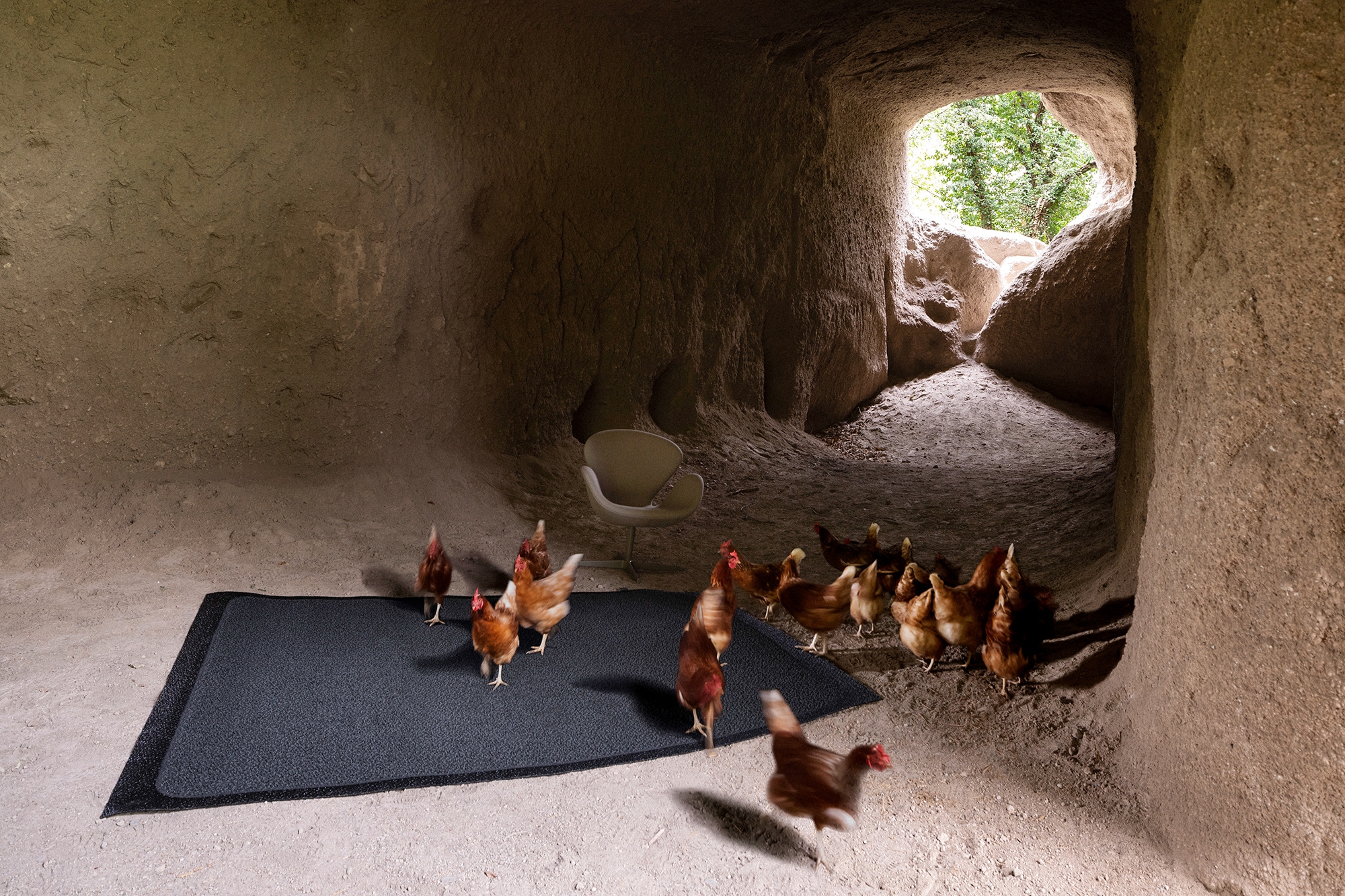 NEO.1 – Minimalistisch. Natürlich. Pur.