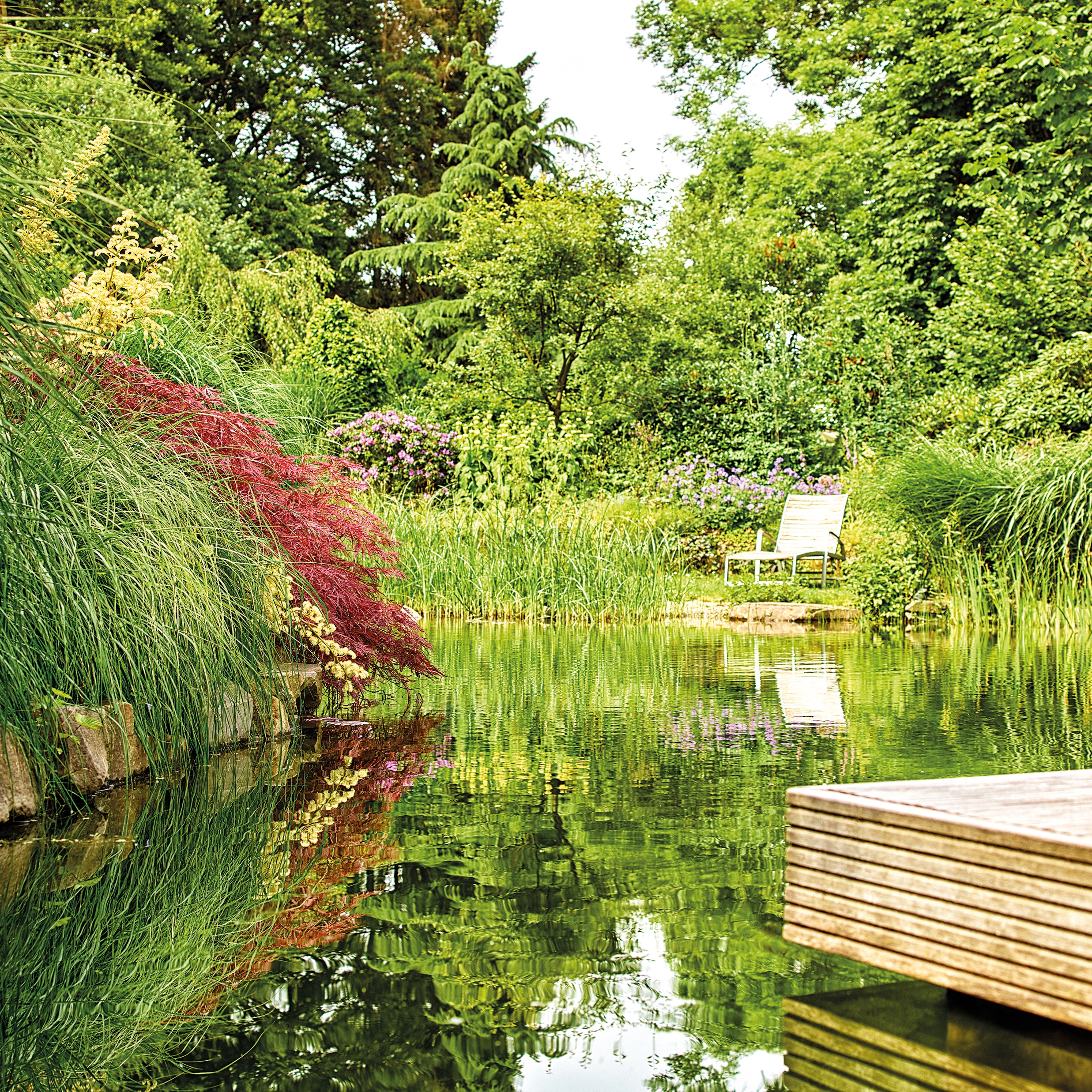 Leggi la storia Move over, Monet: OASE