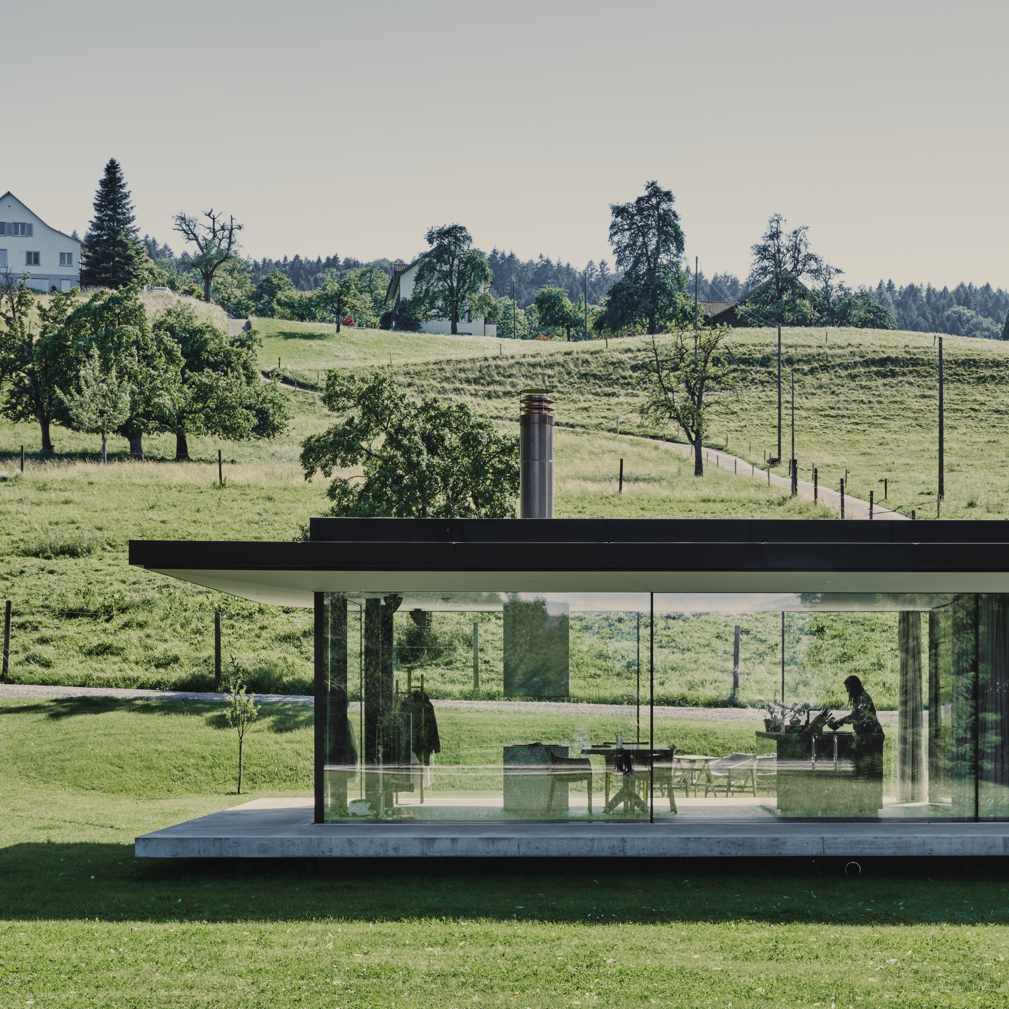Read story ARCHITONIC STORY: SWISSFINELINE