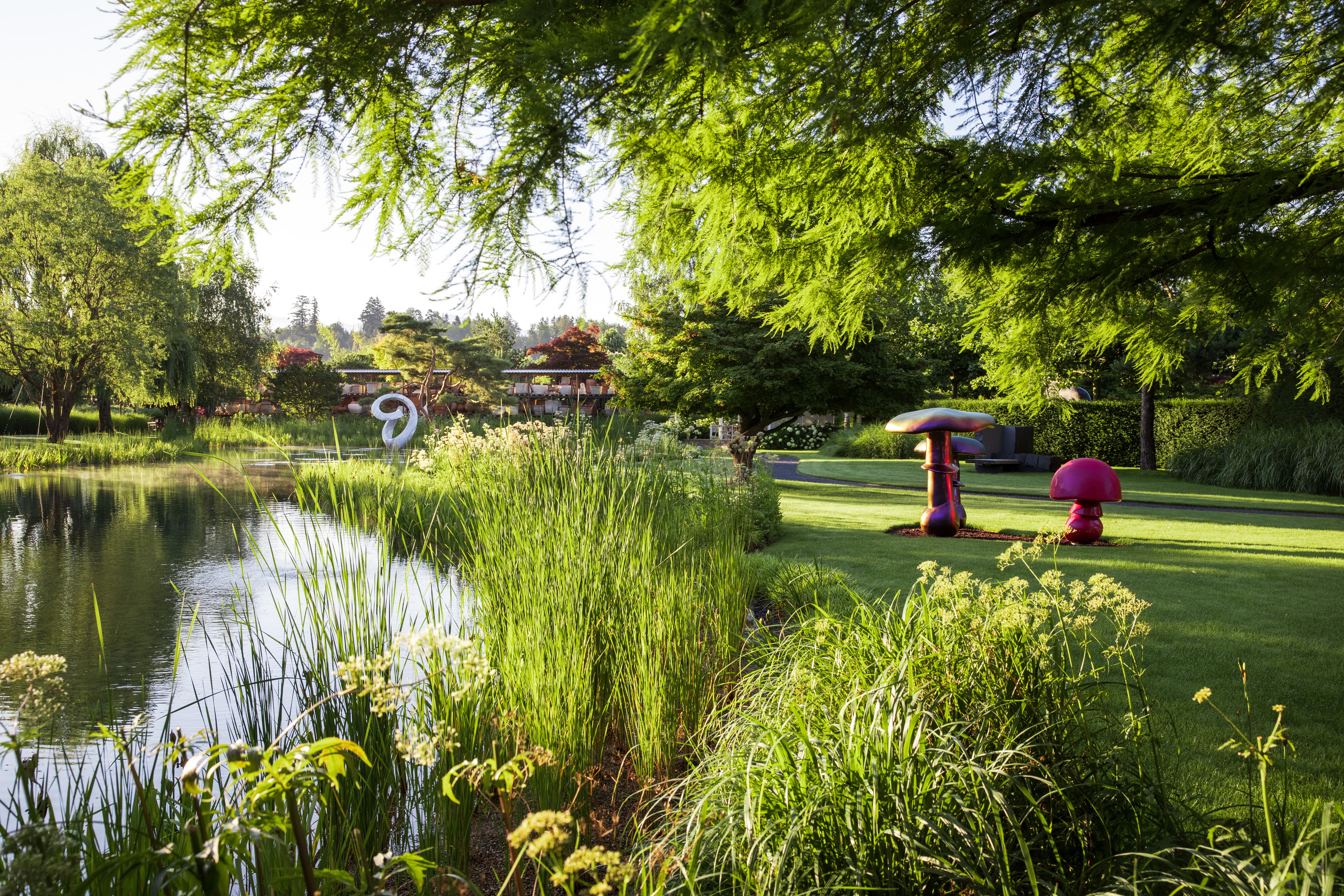 Holistic thinking: In the Arboretum Tree Museum, not only is the beauty and power of nature felt, but the  interplay of botany, art and design too. Photo: Enea Tree Museum 