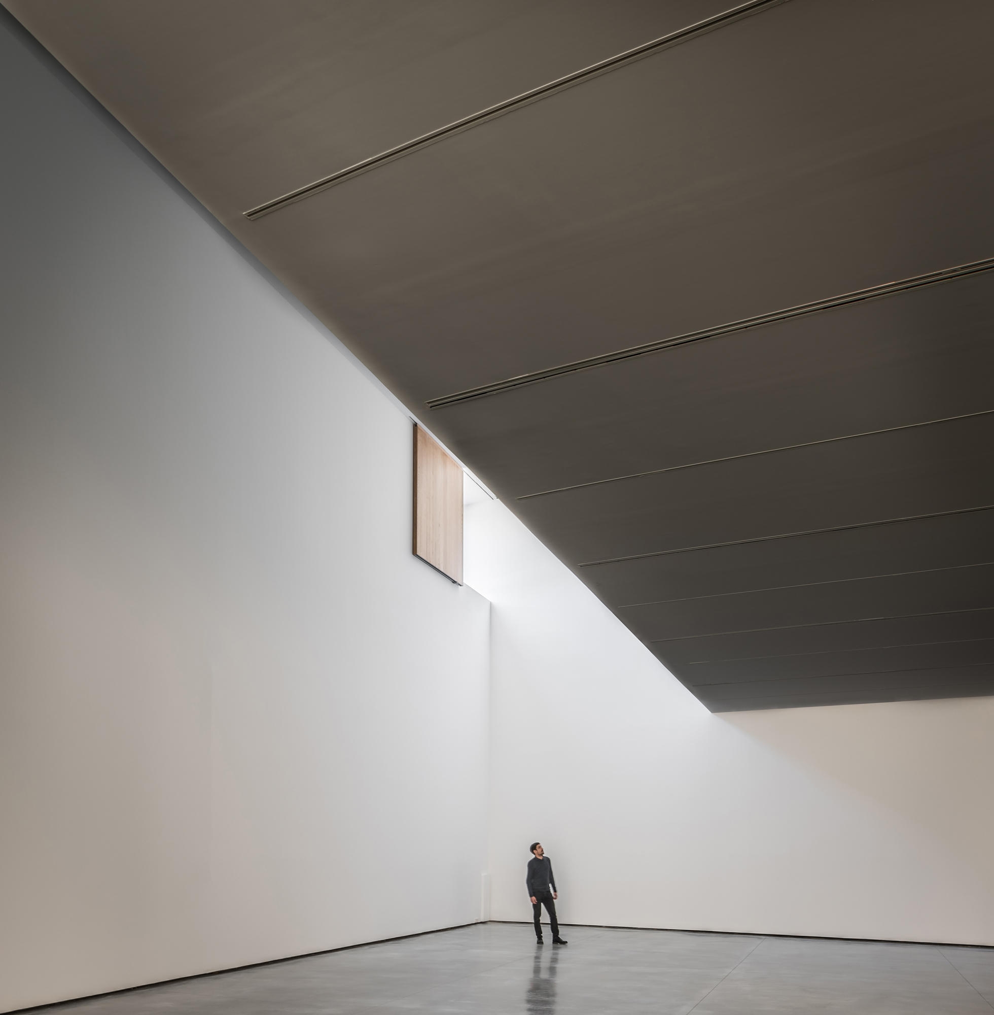 Lire l’histoire Art house: new cultural venues