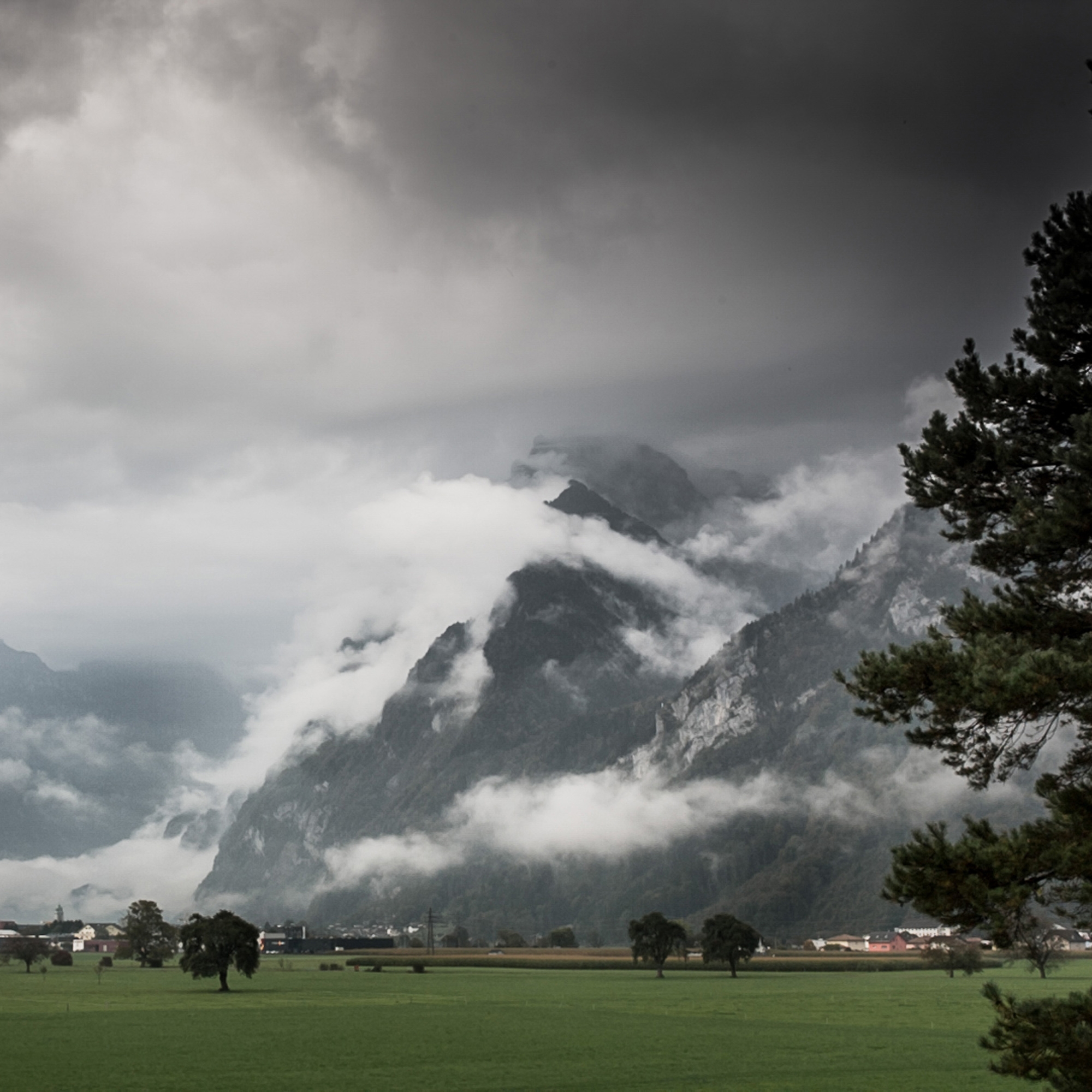 Read story INTO THE WOODS: HORGENGLARUS