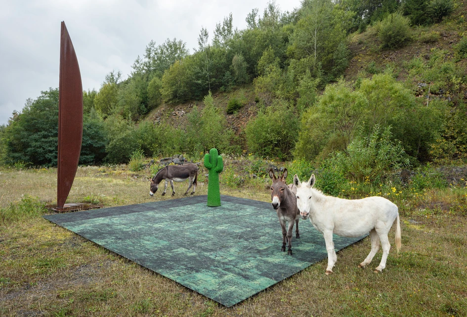 Wir stehen auf nachhaltig.