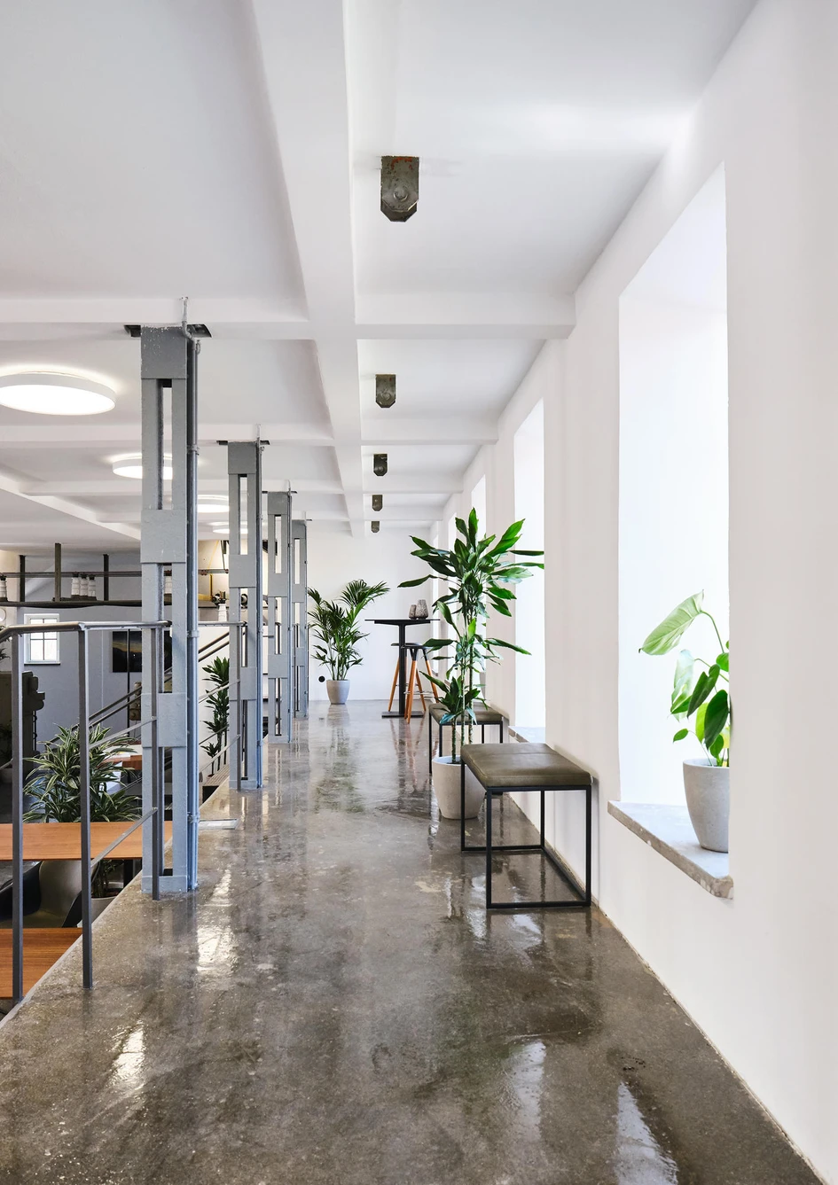 Kern Innovations CEO Markos Kern: ‘I’m still shocked by how many workplaces still look grey and ugly. No wonder so many people try to avoid them!’