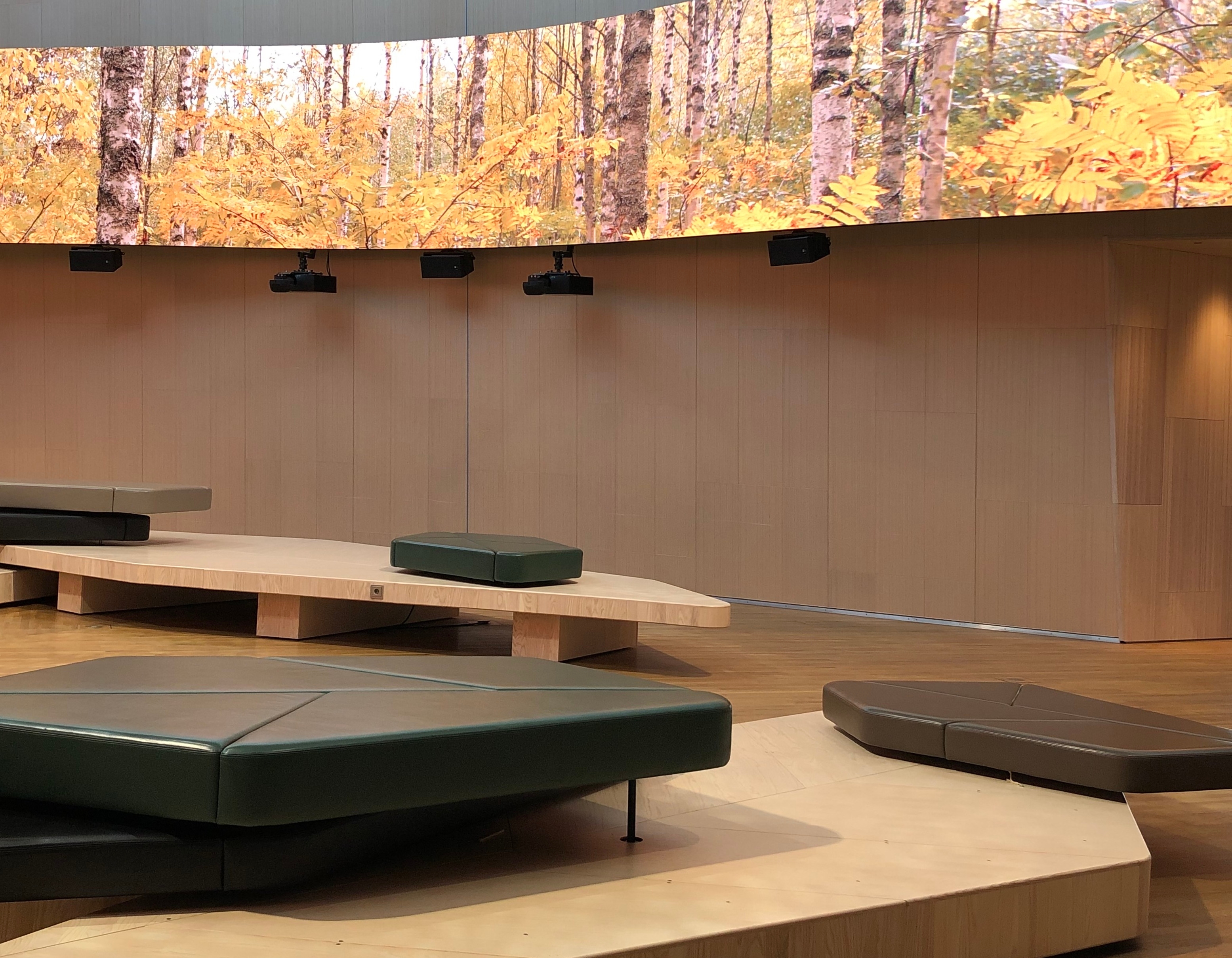 Reconstituted birch veneers by Finnish manufacturer CWP bring the natural qualities of wood and the technical advantages of modern materials