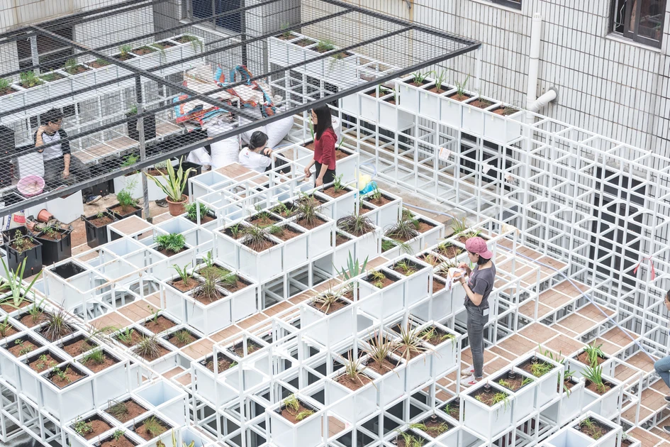 Green Cloud / ZHUBO-AAO. Image © Yang Xu