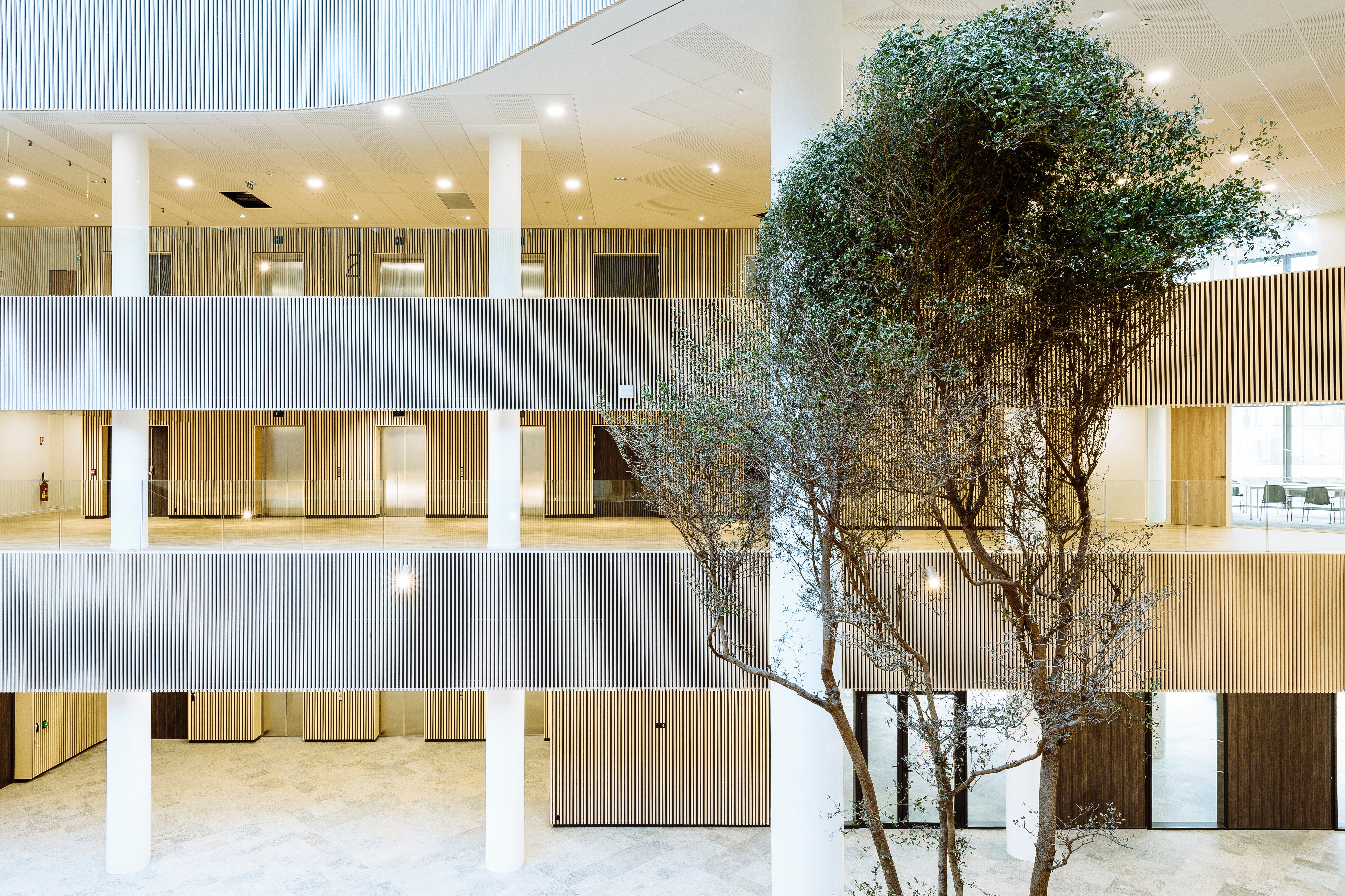 Enscape’s realistic lighting effects and VR-integrated walkthrough software helped KeurK’s clients to visualise the light inside a new European Medicines Agency building in Lille