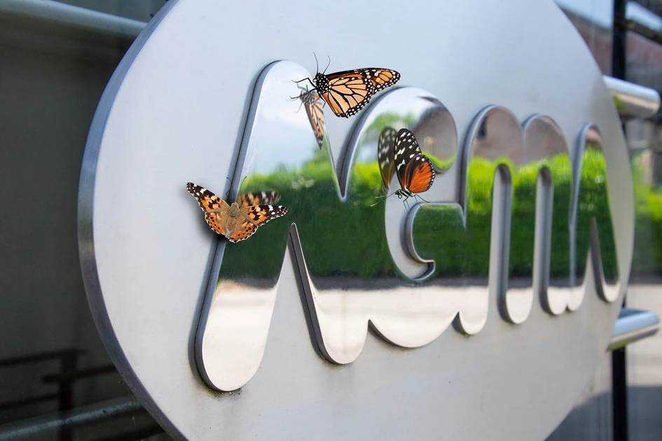 Cutting-edge, precision machinery at AGMA HQ allows talented craftspeople to combine technology, creativity and skill, performing difficult installations without issue