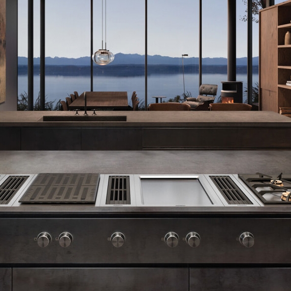 Lire l’histoire Soul food: Gaggenau