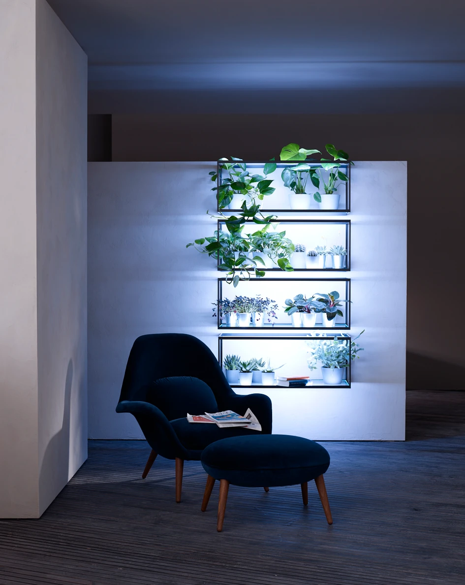 Gera also allows plants to be displayed in new ways. With light, their colours change, their very special details are emphasised and engaging plays of shadow are created on the wall